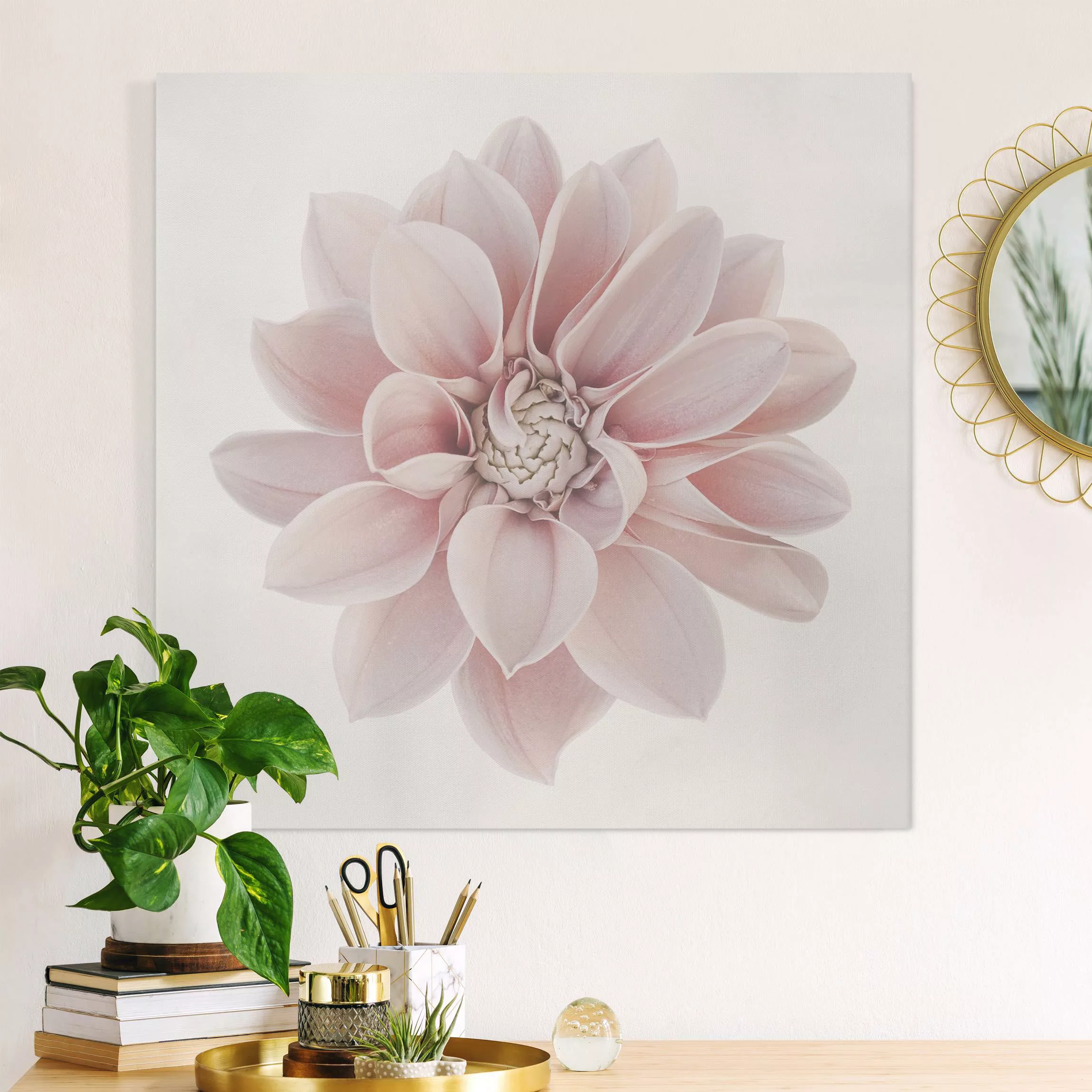 Leinwandbild Dahlie Blume Pastell Weiß Rosa günstig online kaufen