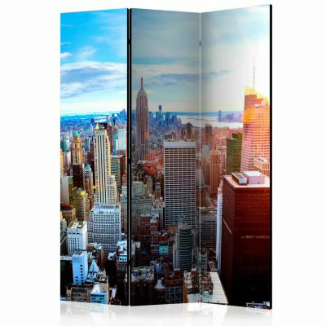 artgeist Paravent Sunrise over Manhattan [Room Dividers] mehrfarbig Gr. 135 günstig online kaufen
