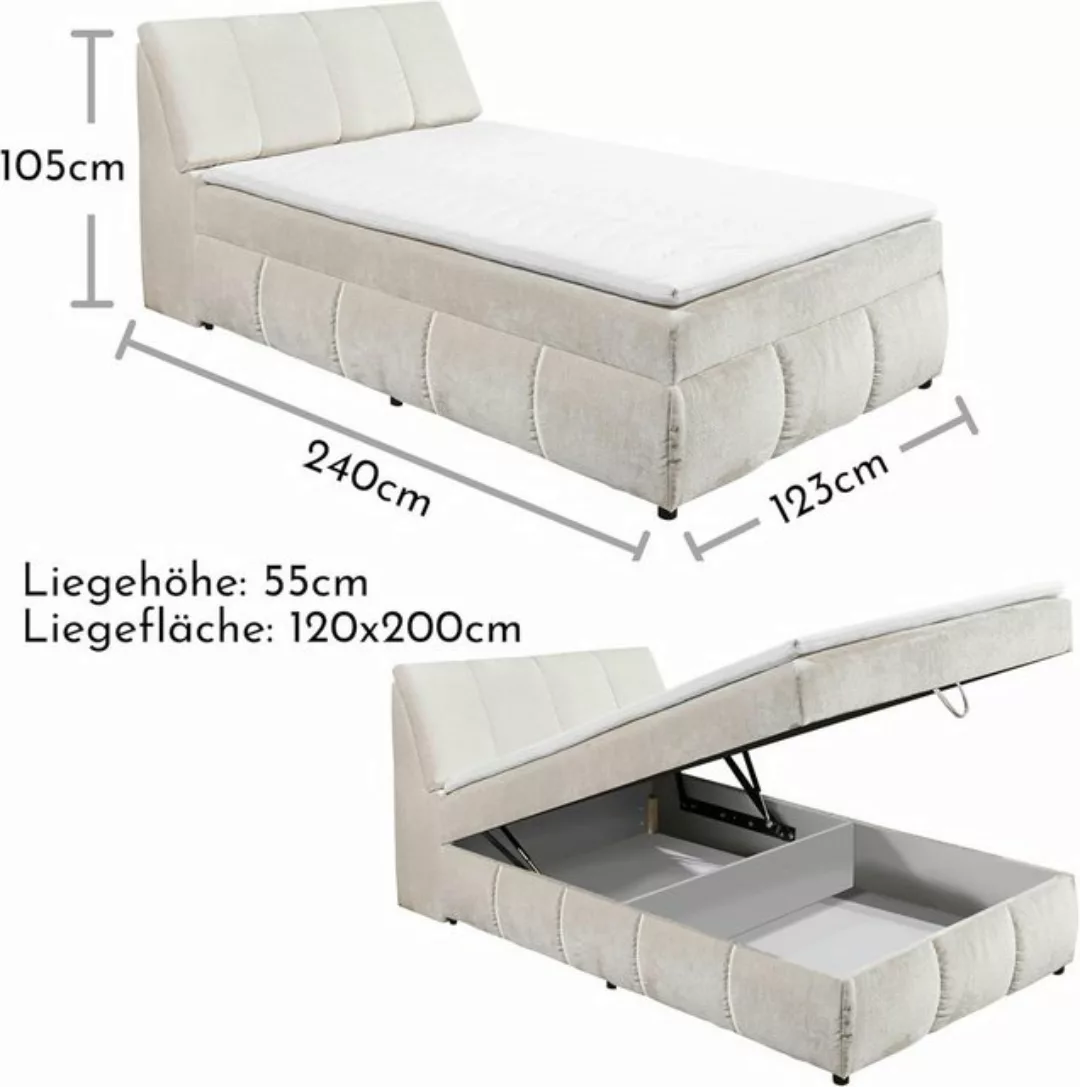 freiraum Boxspringbett Valencia 120, Stauraum, inkl. Topper, Ivory cream, 1 günstig online kaufen