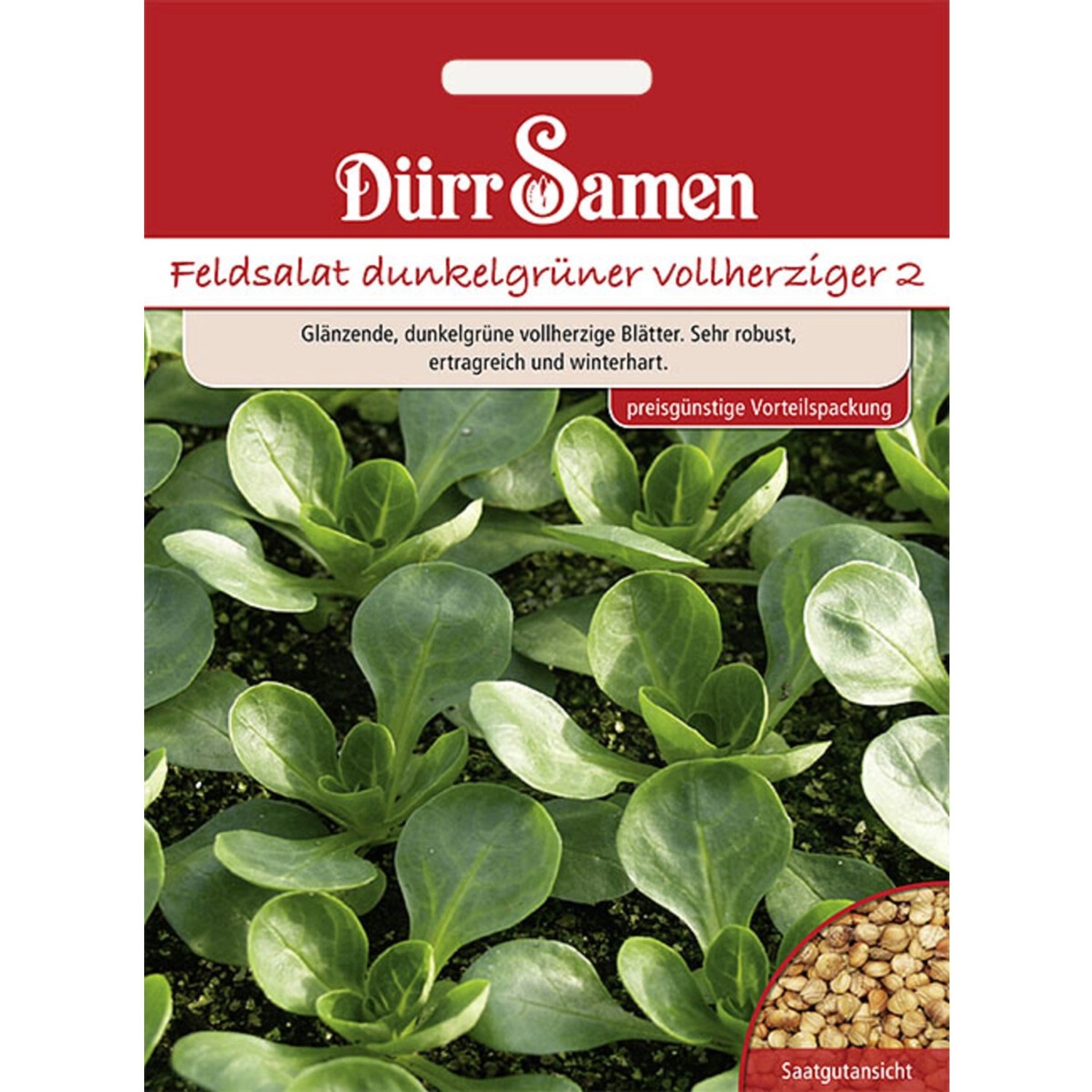 Dürr Samen Feldsalat Dunkelgrüner Vollherziger Saatgut Vorteilspack günstig online kaufen