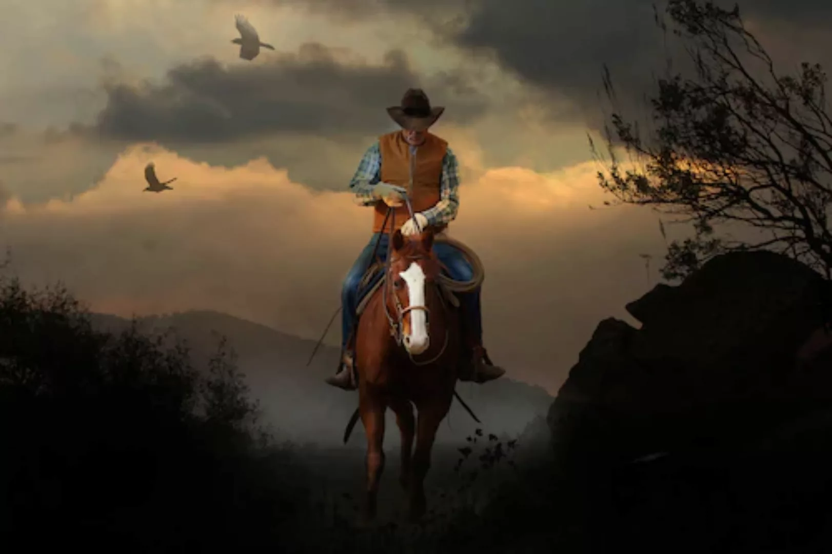 Papermoon Fototapete »Cowboy« günstig online kaufen