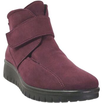 Westland  Damenstiefel Calais 53 günstig online kaufen