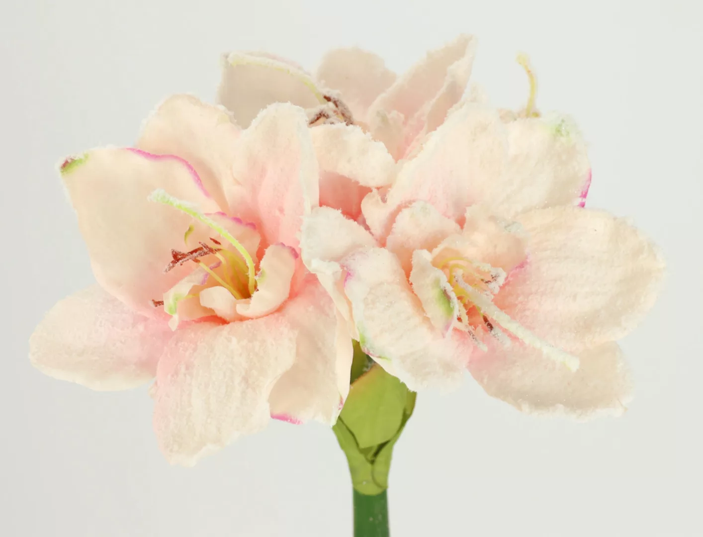 I.GE.A. Kunstblume "Amaryllis mit Kunstschnee", 2er Set Zweige Winterblume günstig online kaufen