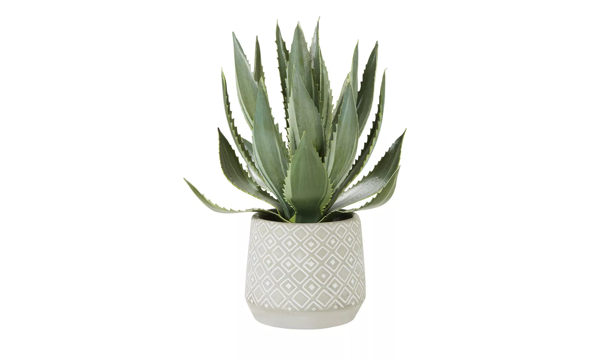Aloe getopft - grün - Kunststoff, Keramik - 33 cm - Dekoration > Kunstblume günstig online kaufen