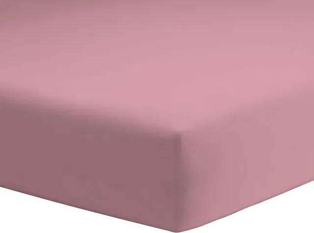 Schlafgut Spannbettlaken »Mako-Jersey aus 100% Baumwolle, Bettlaken«, für M günstig online kaufen
