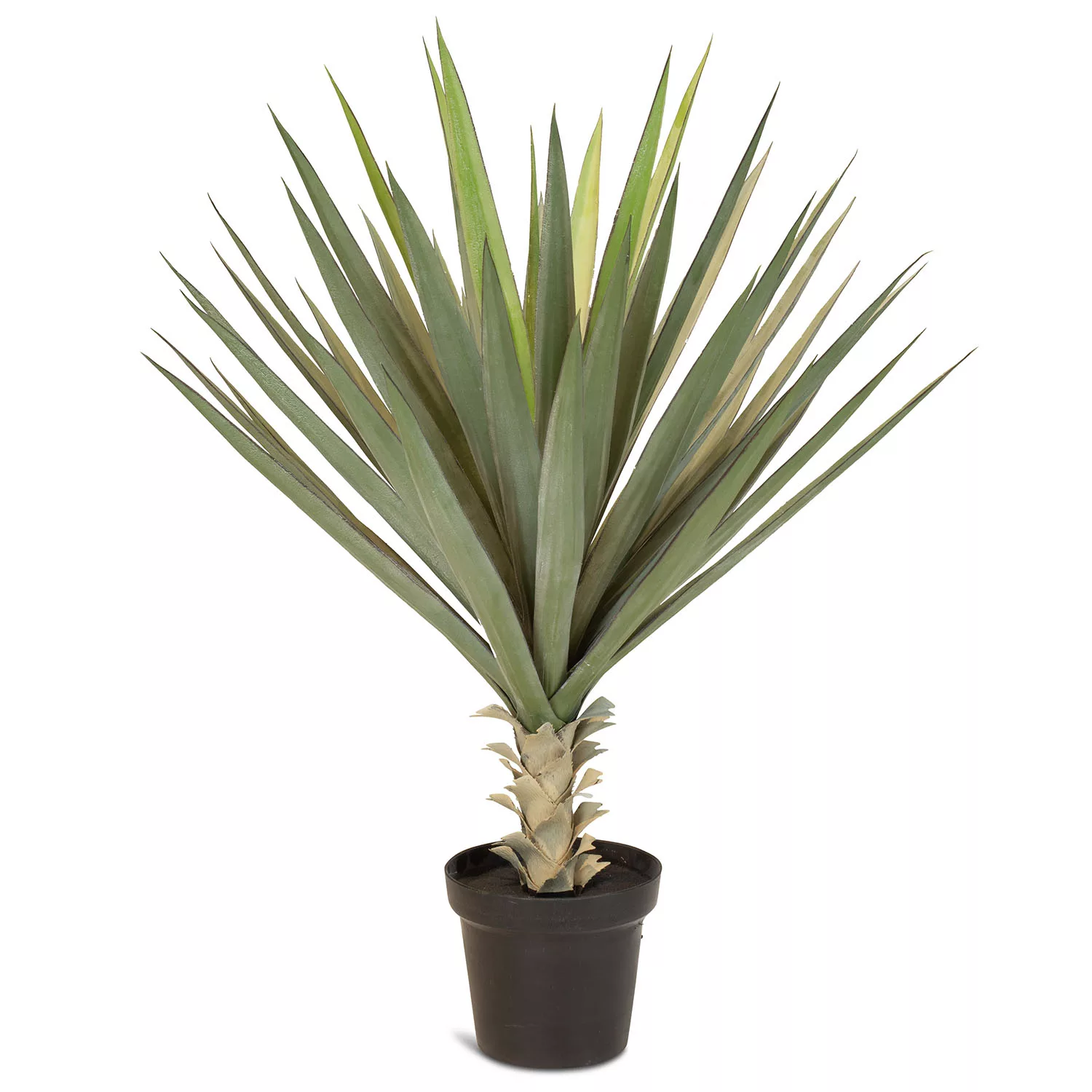 Sisal - Agave sisalana Kunstpflanze, 95 cm günstig online kaufen