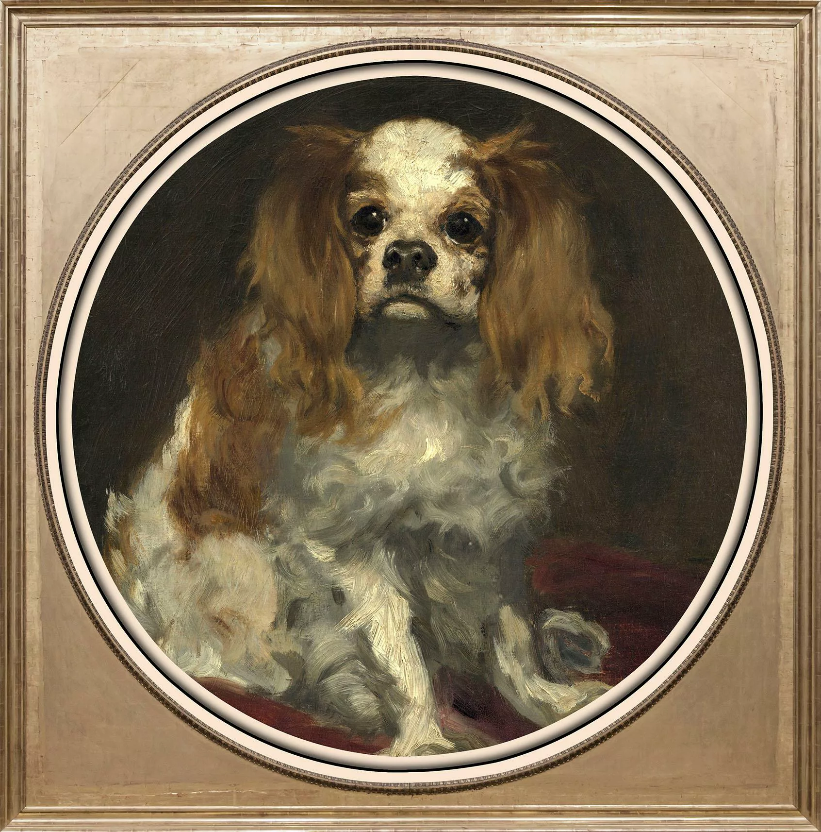 queence Acrylglasbild "Spaniel" günstig online kaufen