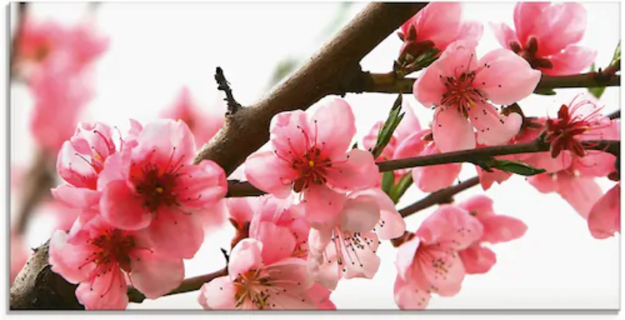 Artland Glasbild "Pfirsichblüten reflektieren im Wasser", Blumen, (1 St.), günstig online kaufen