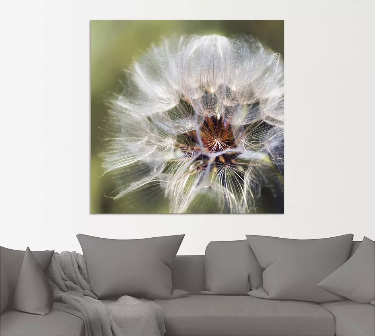 Artland Wandbild "Pusteblume II", Blumen, (1 St.), als Alubild, Outdoorbild günstig online kaufen