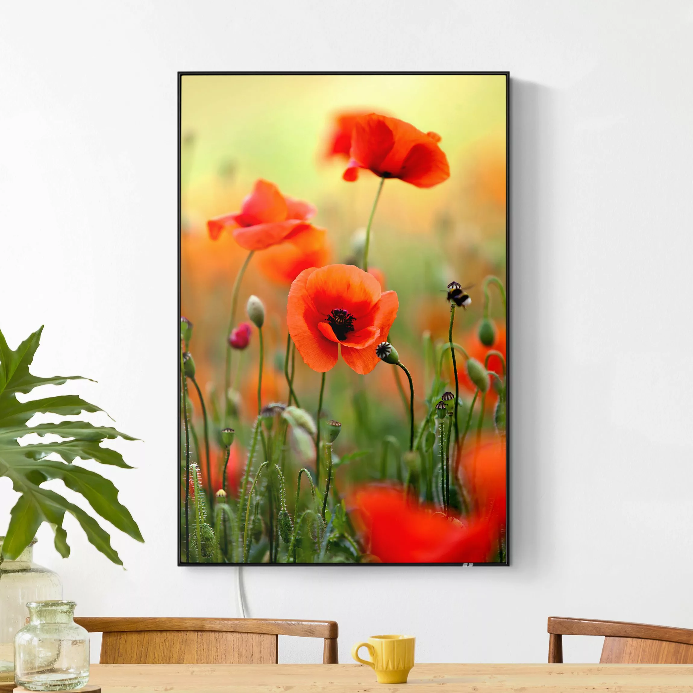 LED-Wechselbild Roter Sommermohn günstig online kaufen