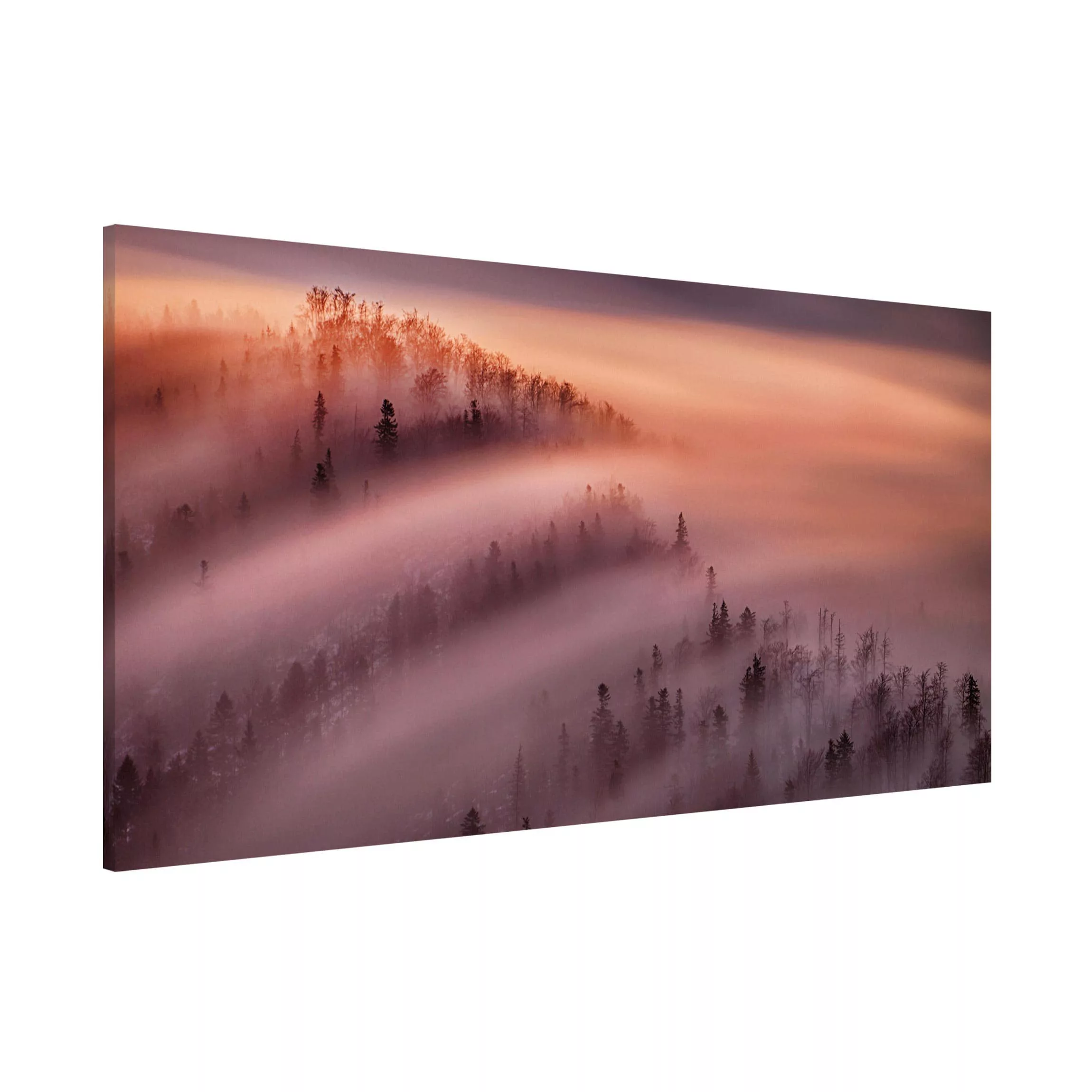 Magnettafel Natur & Landschaft - Querformat 2:1 Nebelflut günstig online kaufen