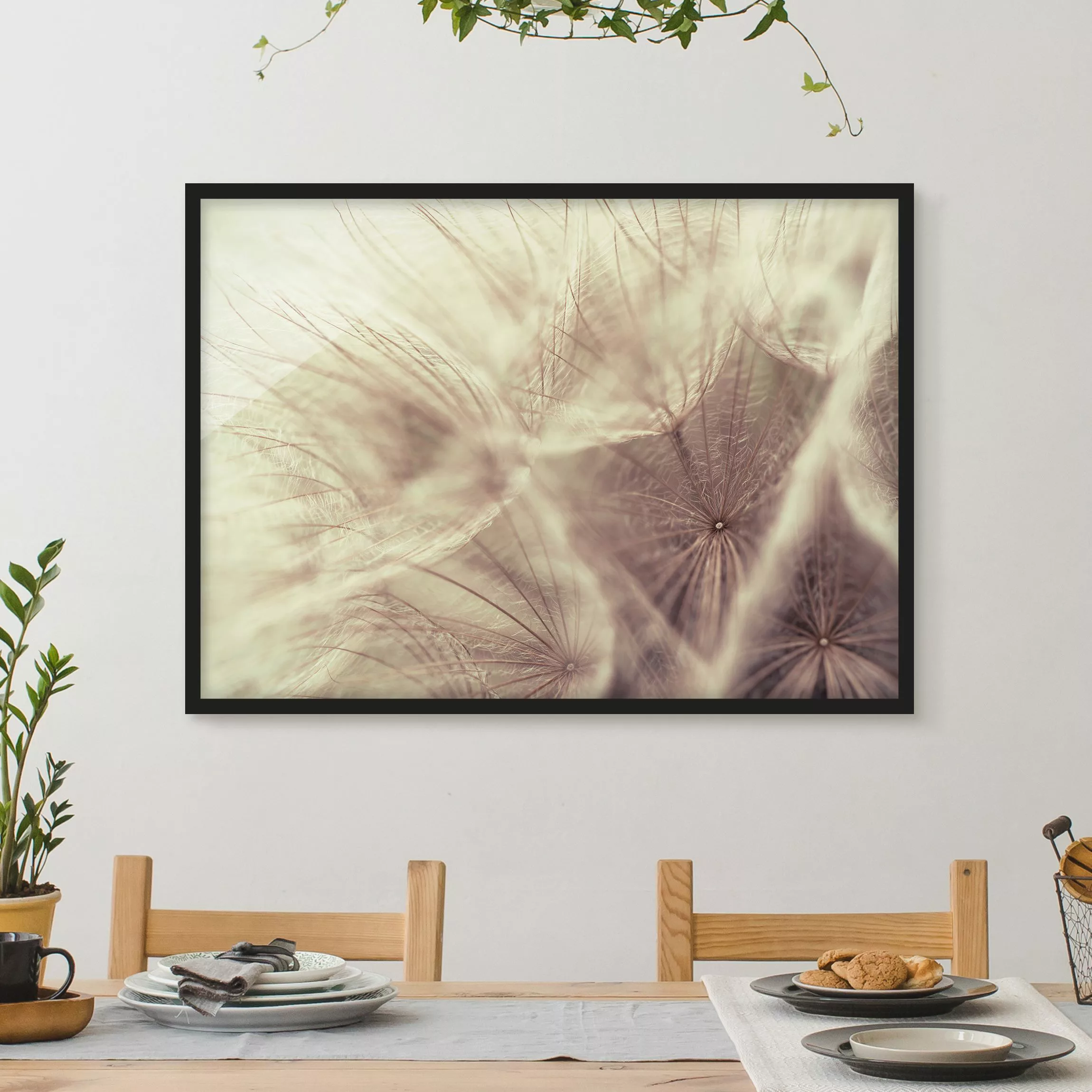 Bild mit Rahmen Blumen - Querformat Detailreiche Pusteblumen Makroaufnahme günstig online kaufen