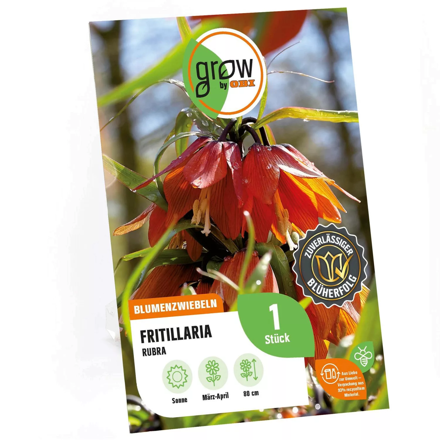 GROW by OBI Kaiserkrone Rubra Rot 80 cm Fritillaria imperialis günstig online kaufen