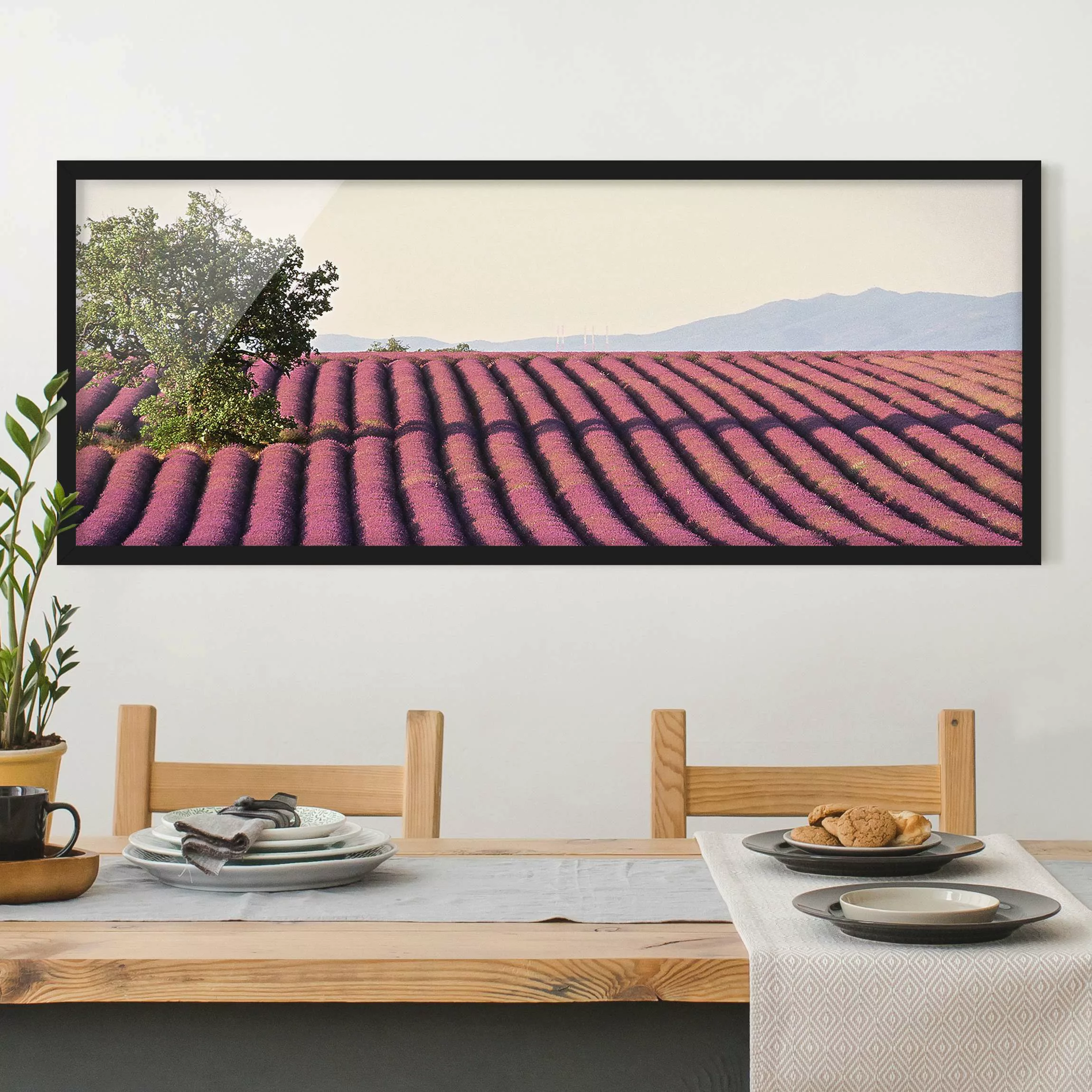 Bild mit Rahmen Natur & Landschaft - Panorama Lavender günstig online kaufen