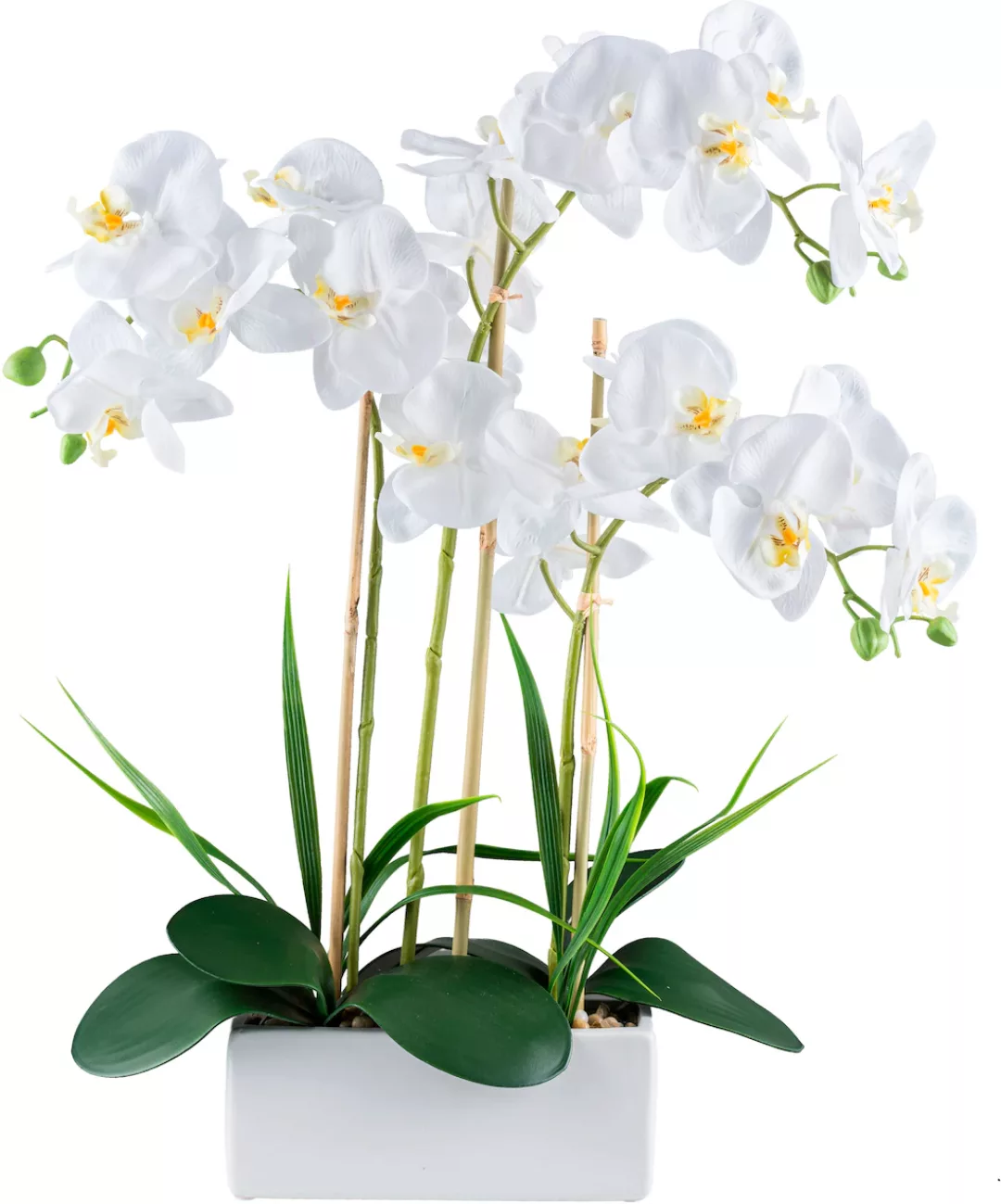 Creativ green Kunstorchidee "Orchidee Phalaenopsis", mit Graszweigen arrang günstig online kaufen