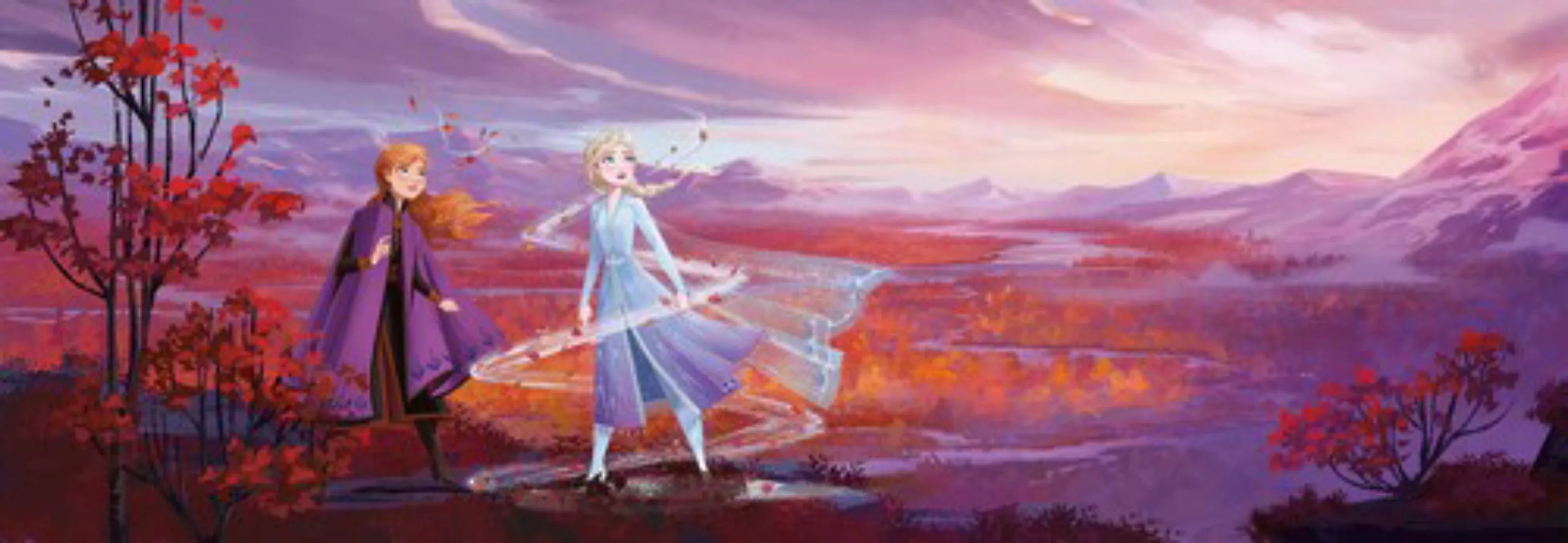 Disney Fototapete Die Eiskönigin Panorama Lila 368 x 127 cm 611739 günstig online kaufen