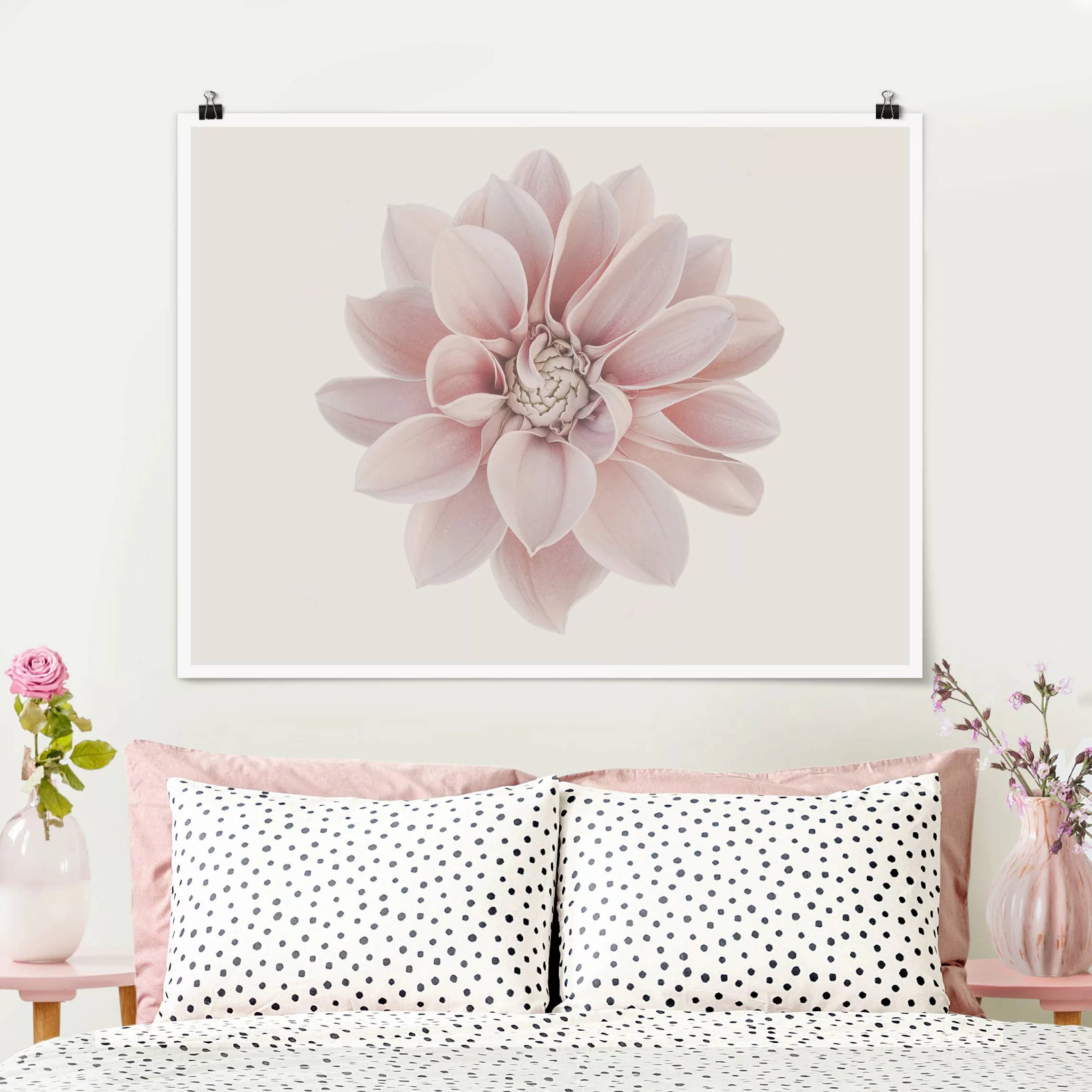 Poster Fotografie Dahlie Blume Pastell Weiß Rosa günstig online kaufen