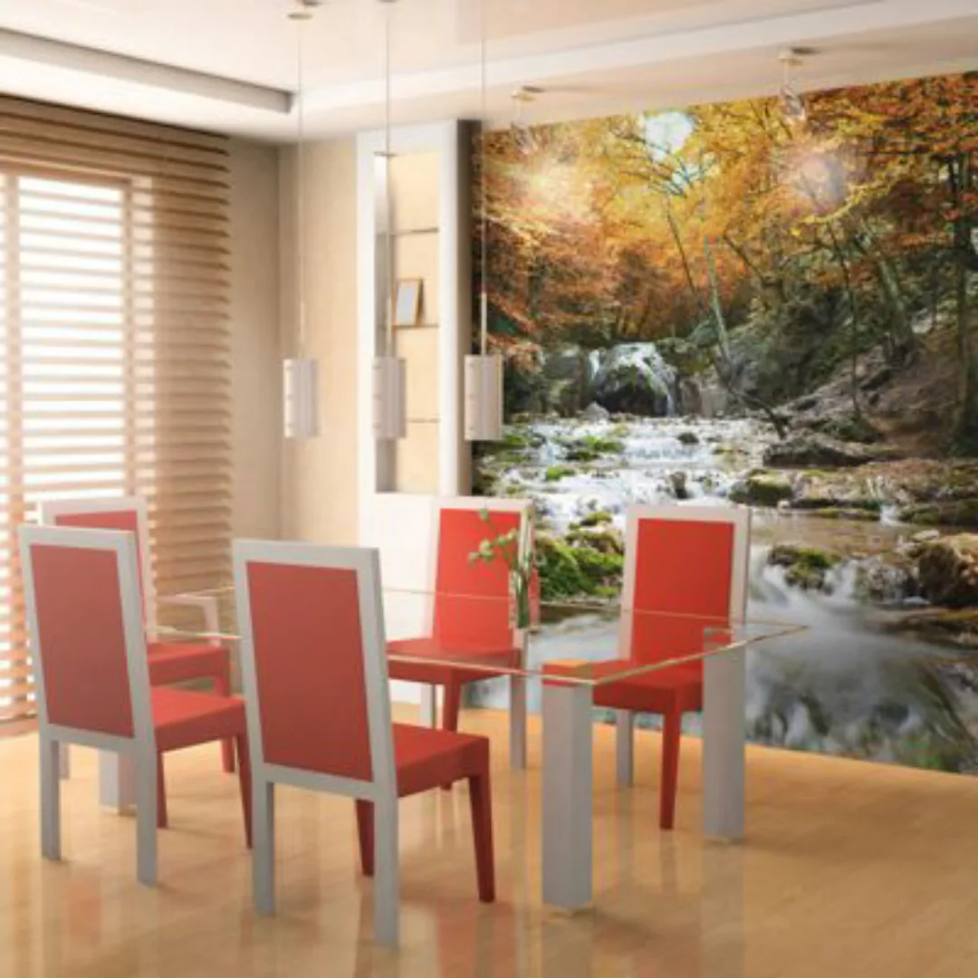 artgeist Fototapete Herbst - Wasserfall mehrfarbig Gr. 200 x 154 günstig online kaufen