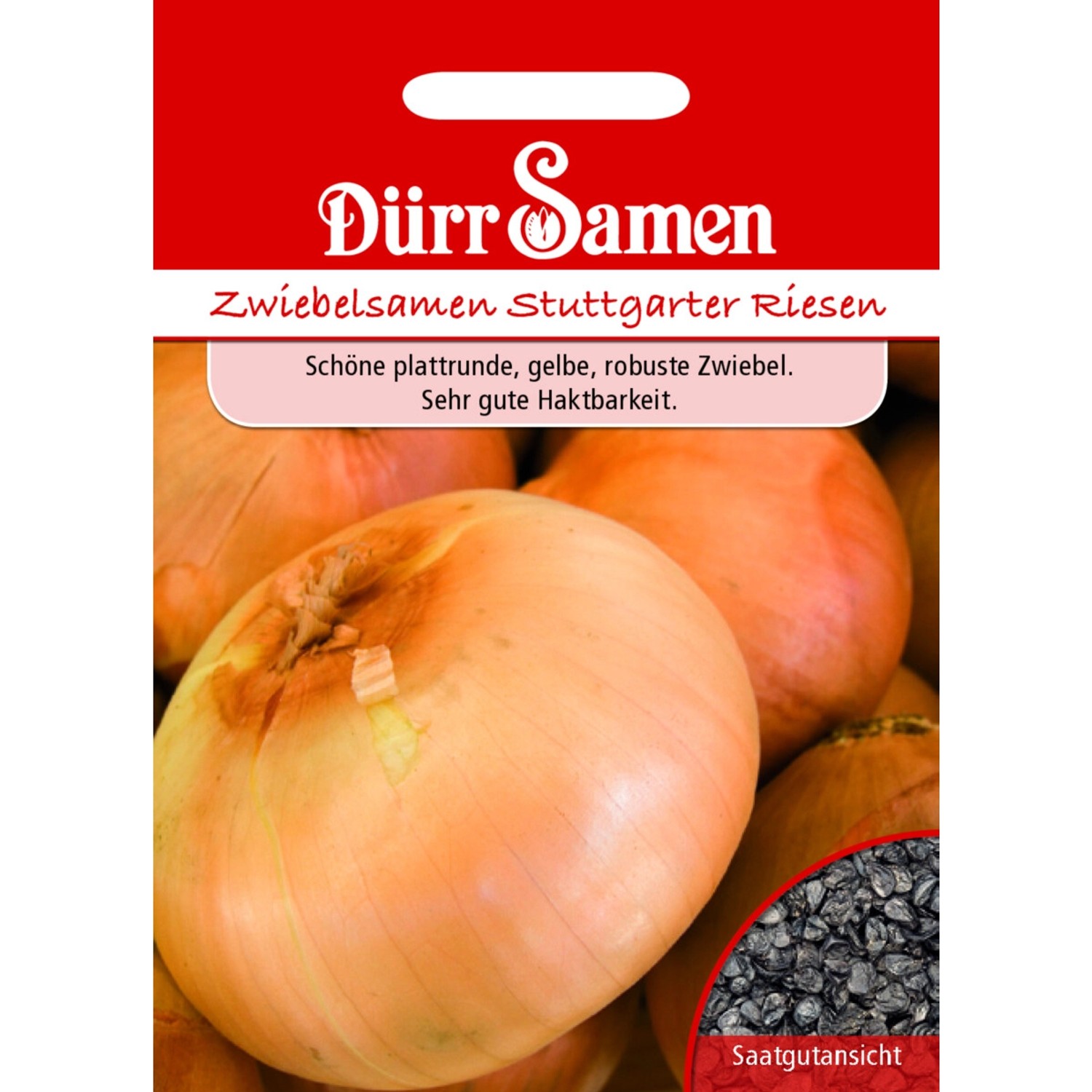Dürr Samen Sommerzwiebeln Stuttgarter Riesen Saatgut günstig online kaufen