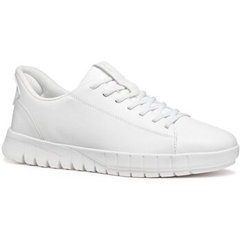 Geox  Sneaker Schnuerschuhe U56MAA-0009B/C1000 günstig online kaufen