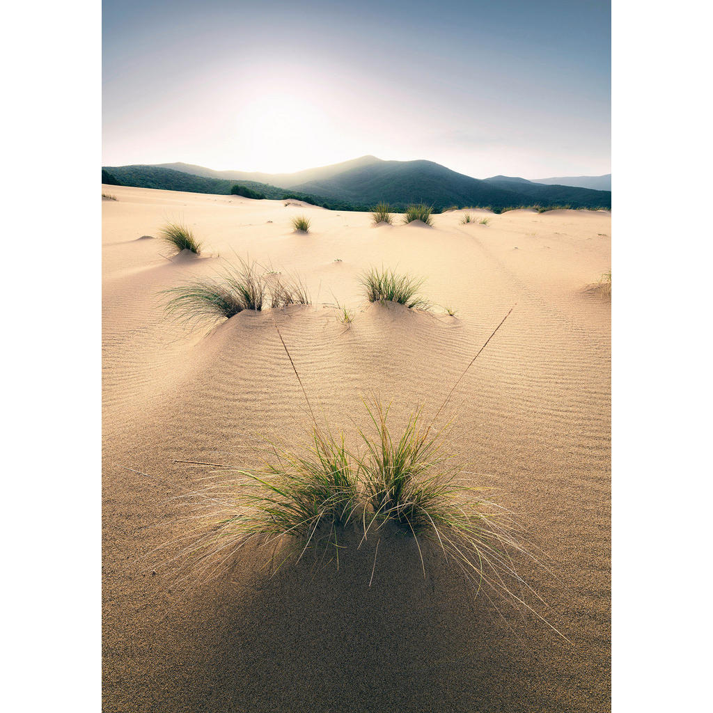 Komar Fototapete Vivid Dunes B/L: ca. 200x280 cm günstig online kaufen