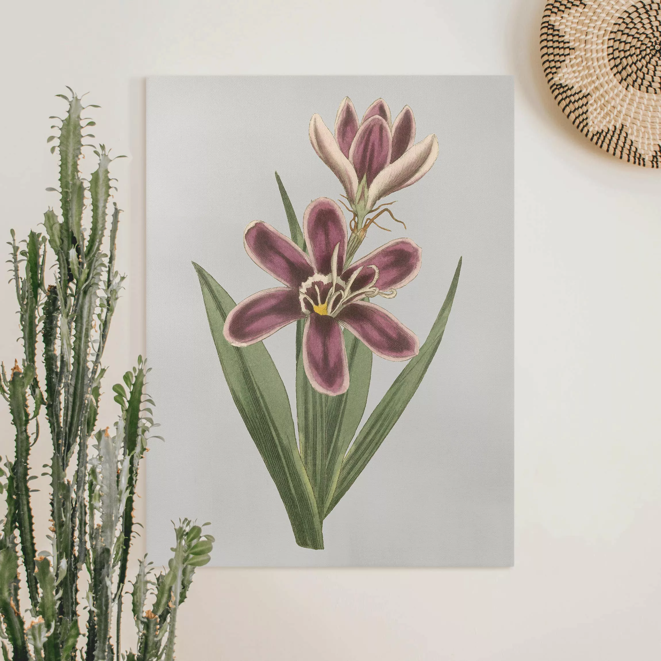Leinwandbild Blumen - Hochformat Florale Schmuckstücke II günstig online kaufen