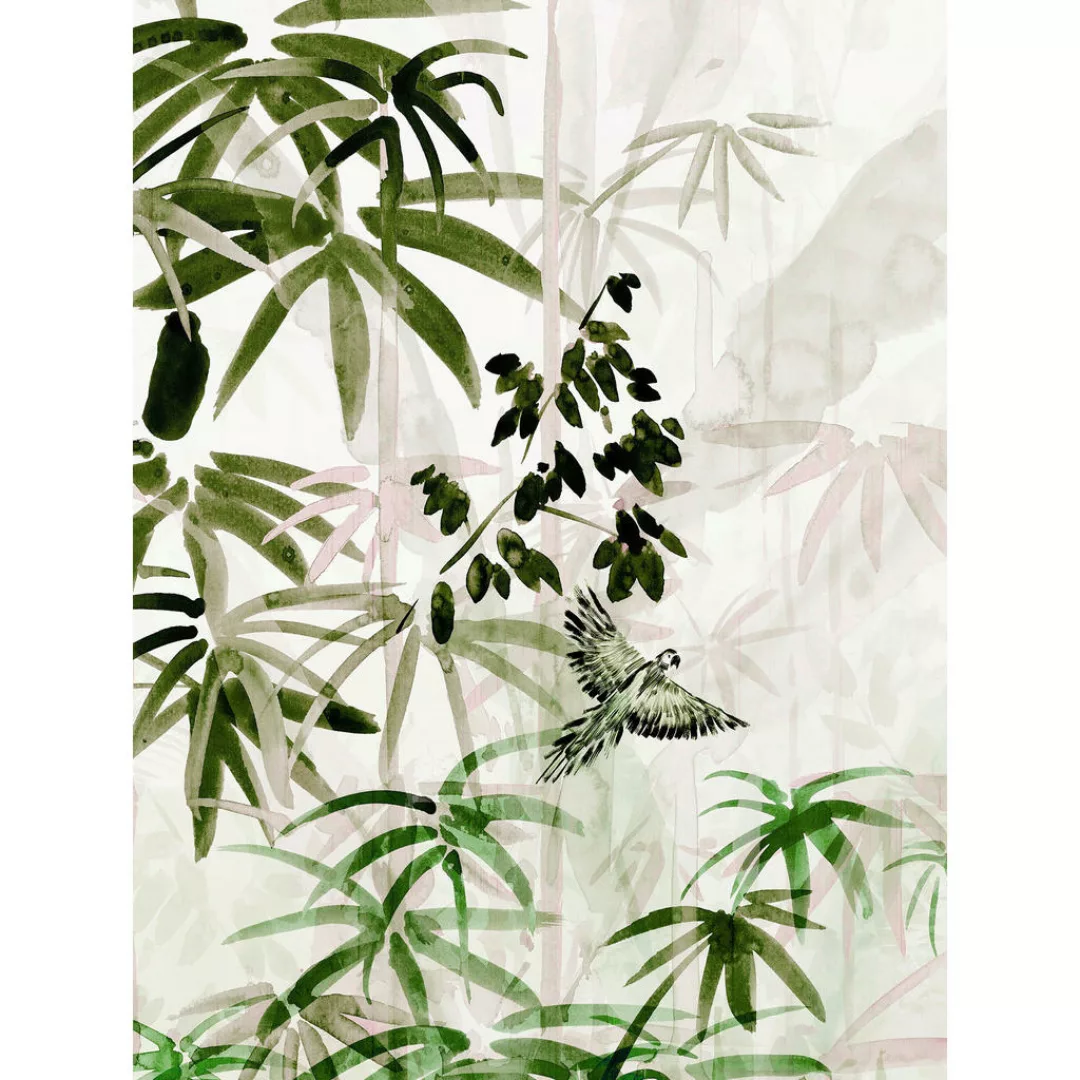 Komar Poster Bamboo Forest Bamboo B/L: ca. 30x40 cm günstig online kaufen