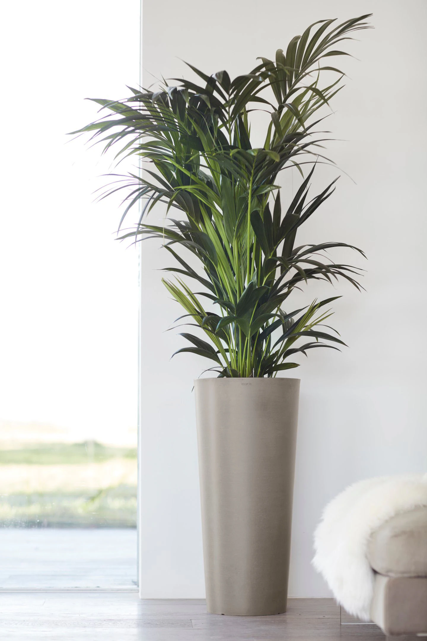 Ecopots Pflanztopf Amsterdam hoch Braungrau 70 cm günstig online kaufen