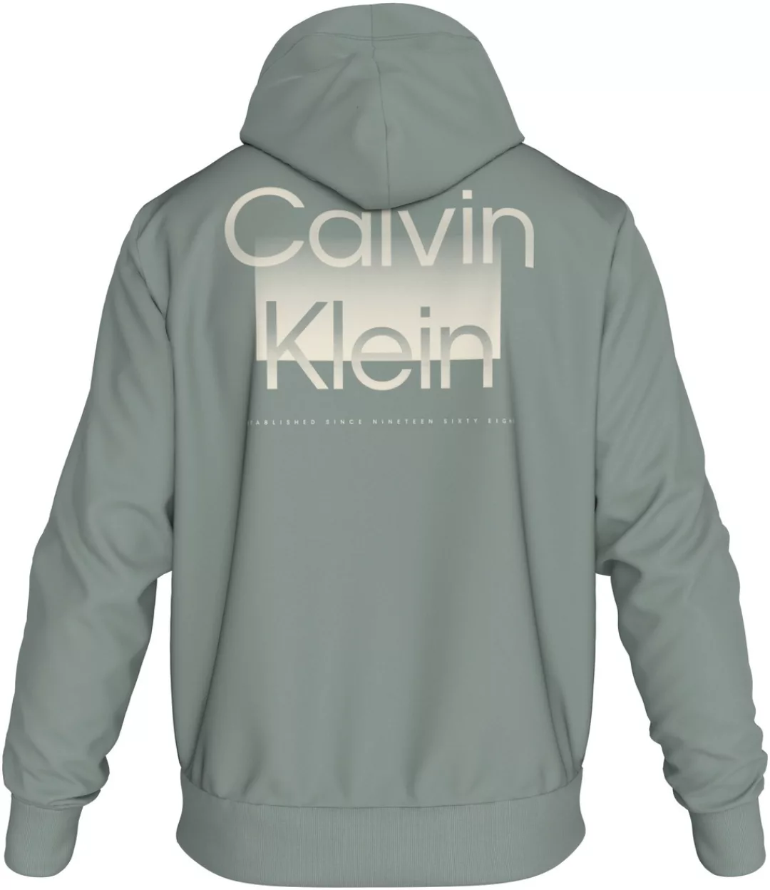Calvin Klein Kapuzensweatshirt ENLARGED BACK LOGO HOODIE mit Logodruck günstig online kaufen