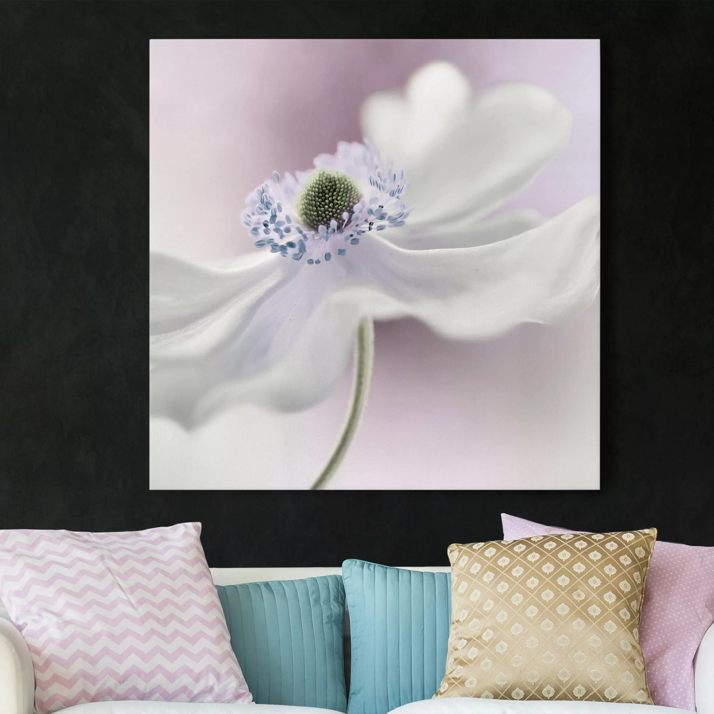 Leinwandbild Blumen - Quadrat Anemonenbrise günstig online kaufen