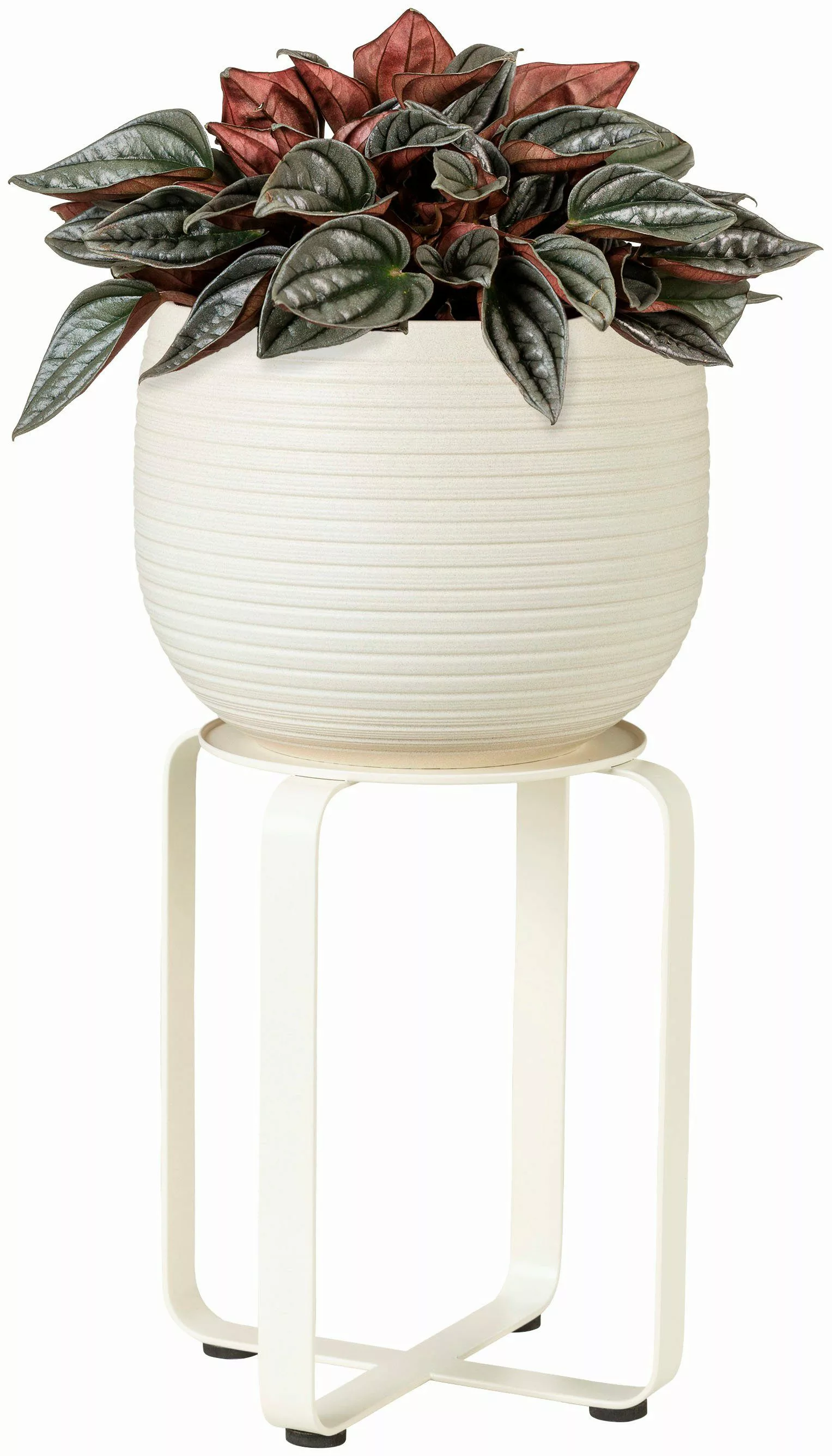 Scheurich Blumenständer white matt 27/104 günstig online kaufen