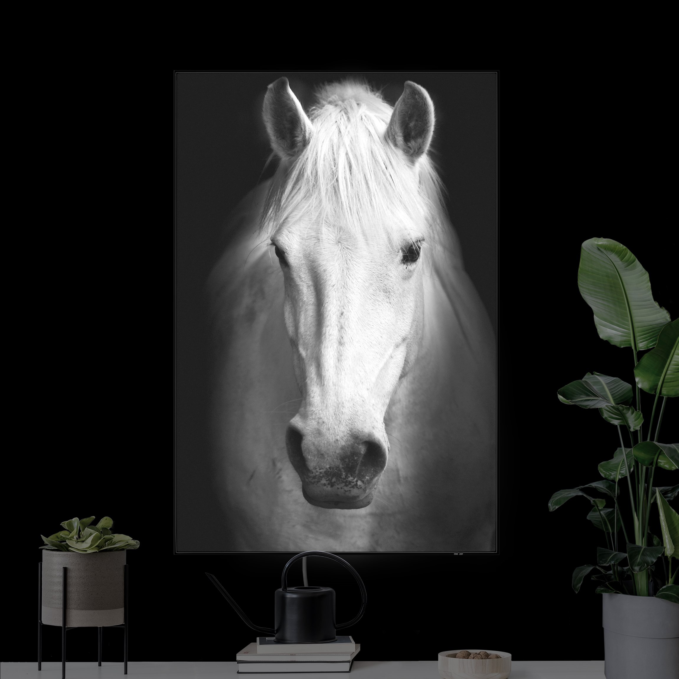 LED-Wechselbild Dream of a Horse günstig online kaufen