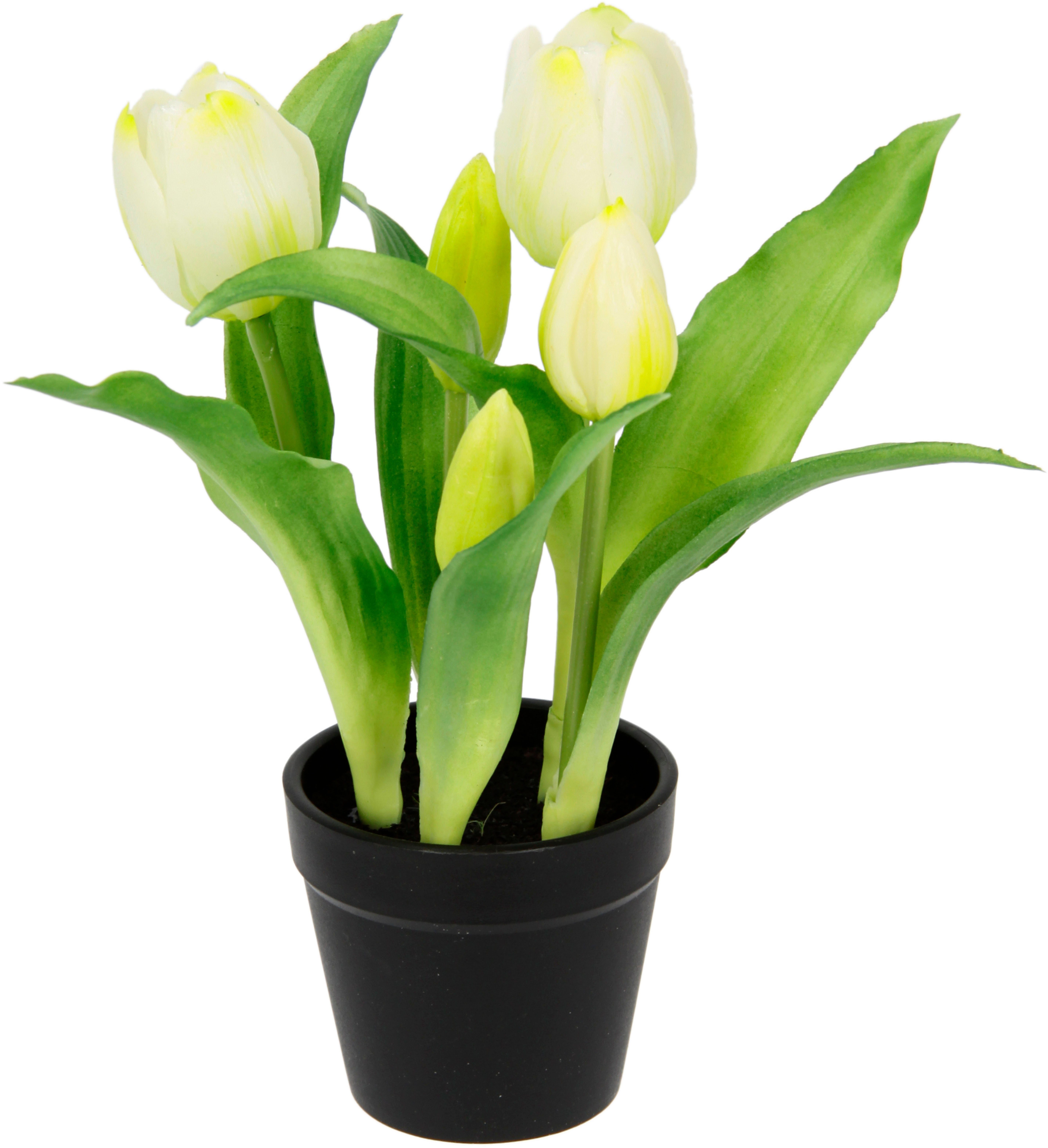Kunstblume Tulpen, I.GE.A., Höhe 22 cm günstig online kaufen
