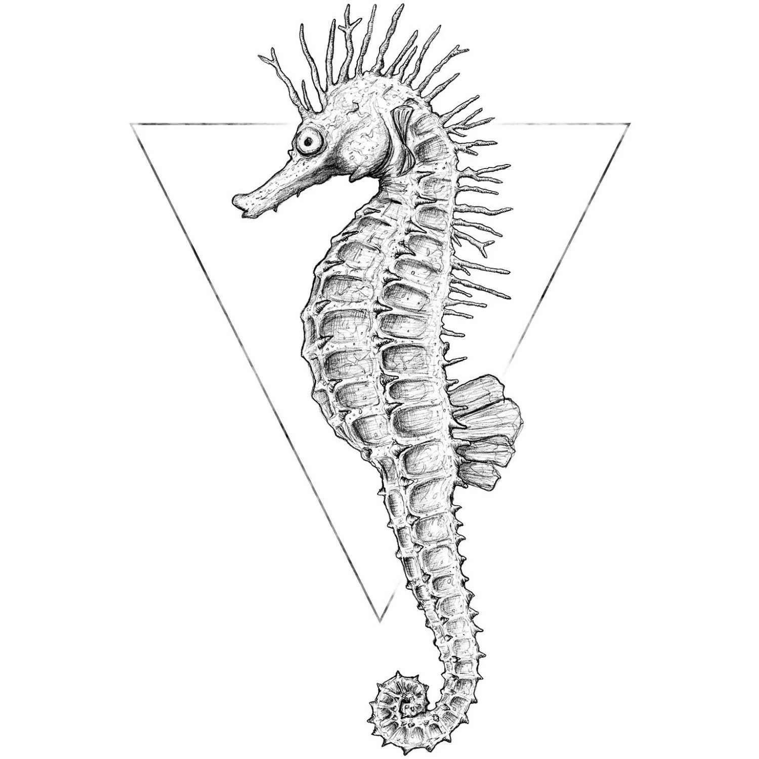 Komar Bild "Sea Horse White", Tiere, (1 St.), Wandbild zur Dekoration - ohn günstig online kaufen