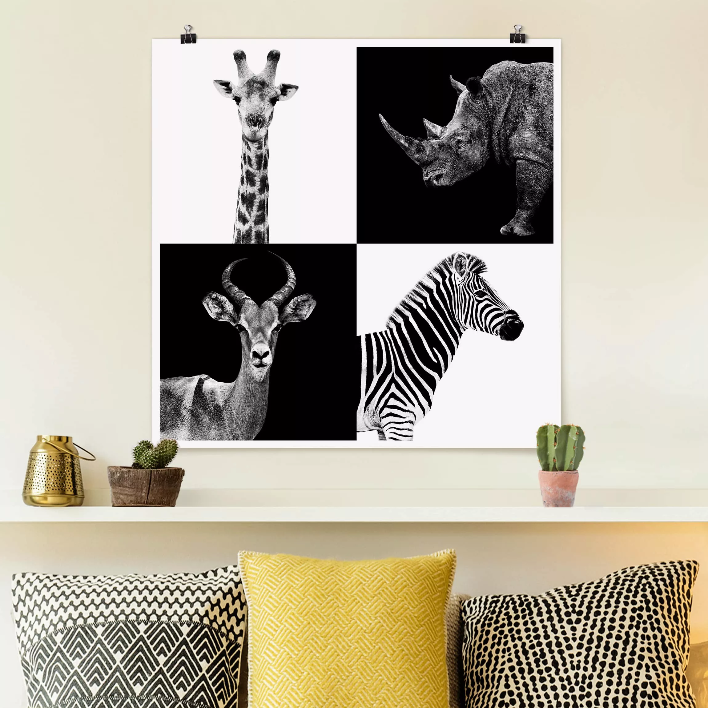 Poster Tiere - Quadrat Safari Quartett günstig online kaufen