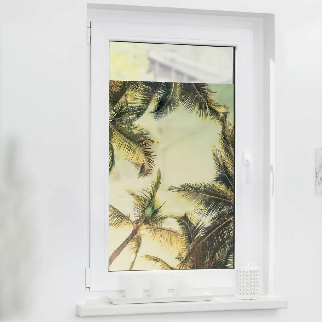 LICHTBLICK Fensterfolie Palmen grün B/L: ca. 100x100 cm günstig online kaufen