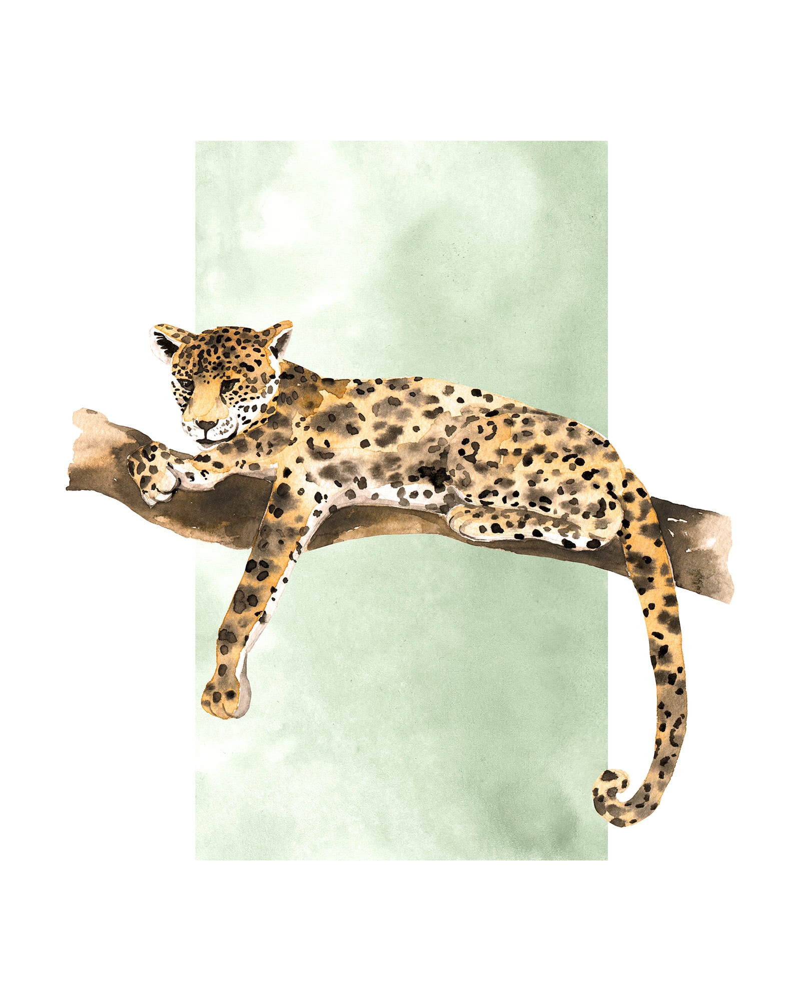 Komar Bild "Lazy Leopard", Natur, (1 St.), Wandbild zur Dekoration - ohne R günstig online kaufen