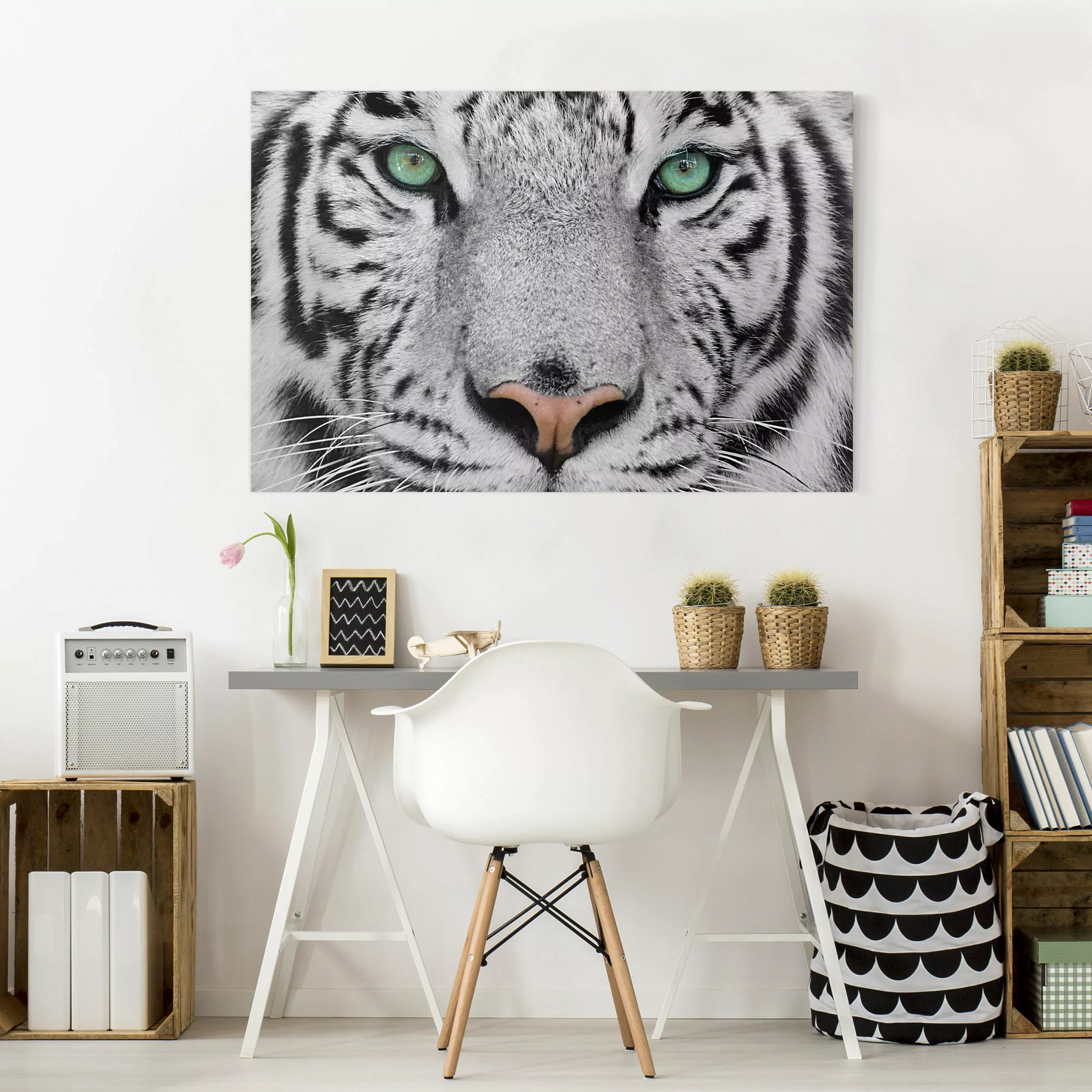 Leinwandbild Tiere - Querformat Weißer Tiger günstig online kaufen