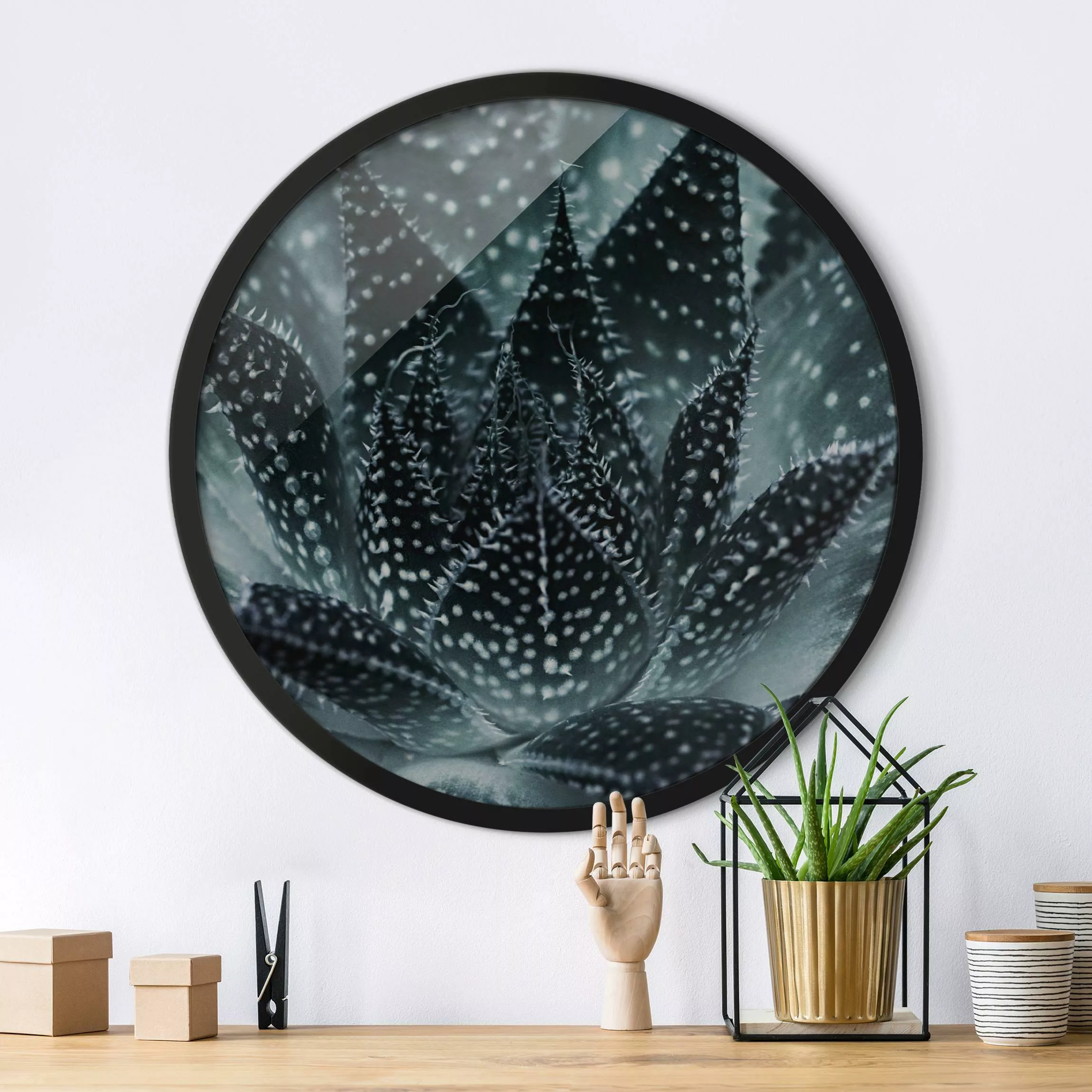 Rundes Gerahmtes Bild Kaktus mit Sternpunkten bei Nacht günstig online kaufen