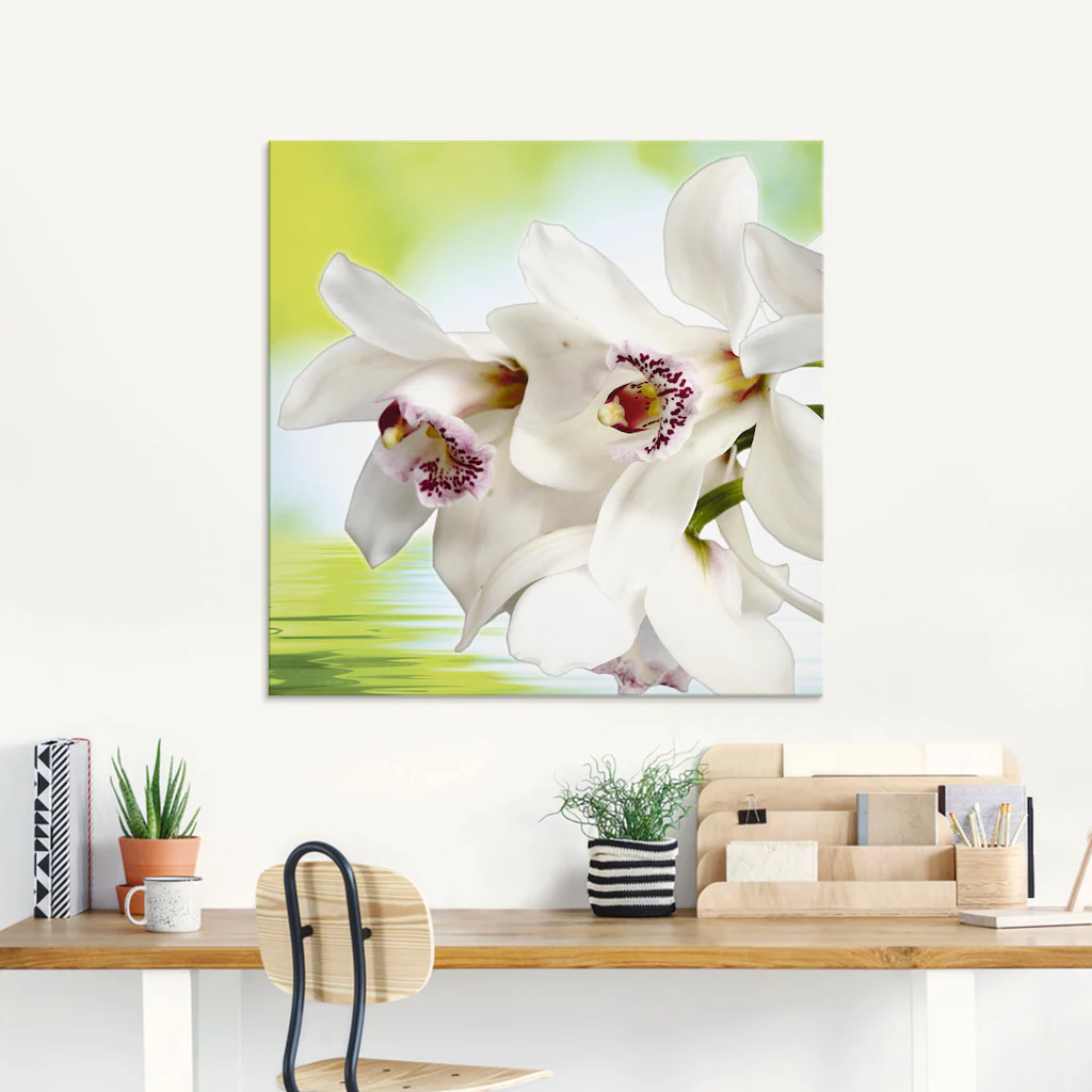 Artland Glasbild "Weiße Orchidee", Blumen, (1 St.), in verschiedenen Größen günstig online kaufen