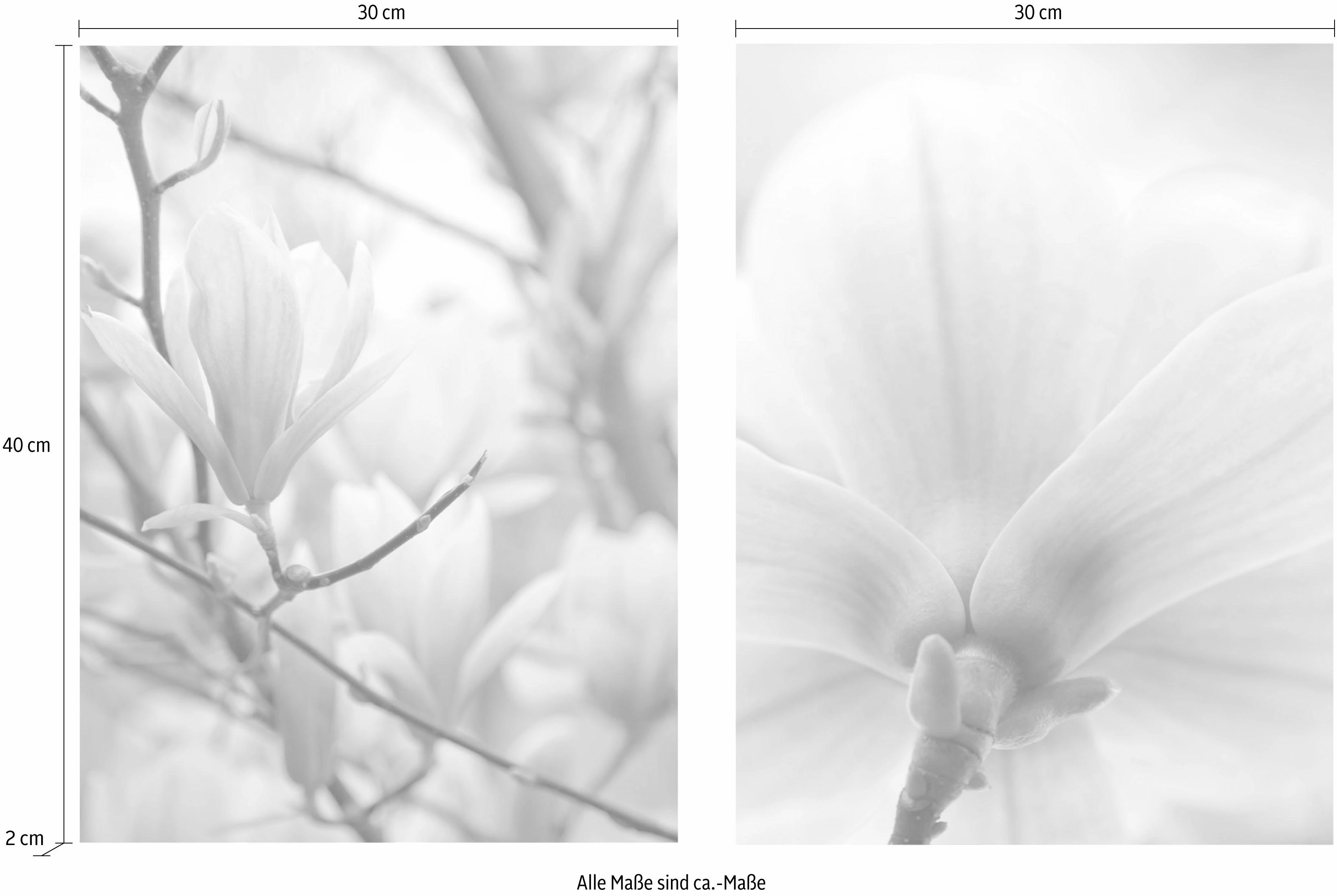 Creativ home Bild "Magnolien", (Set, 2 St.), 2er Set günstig online kaufen