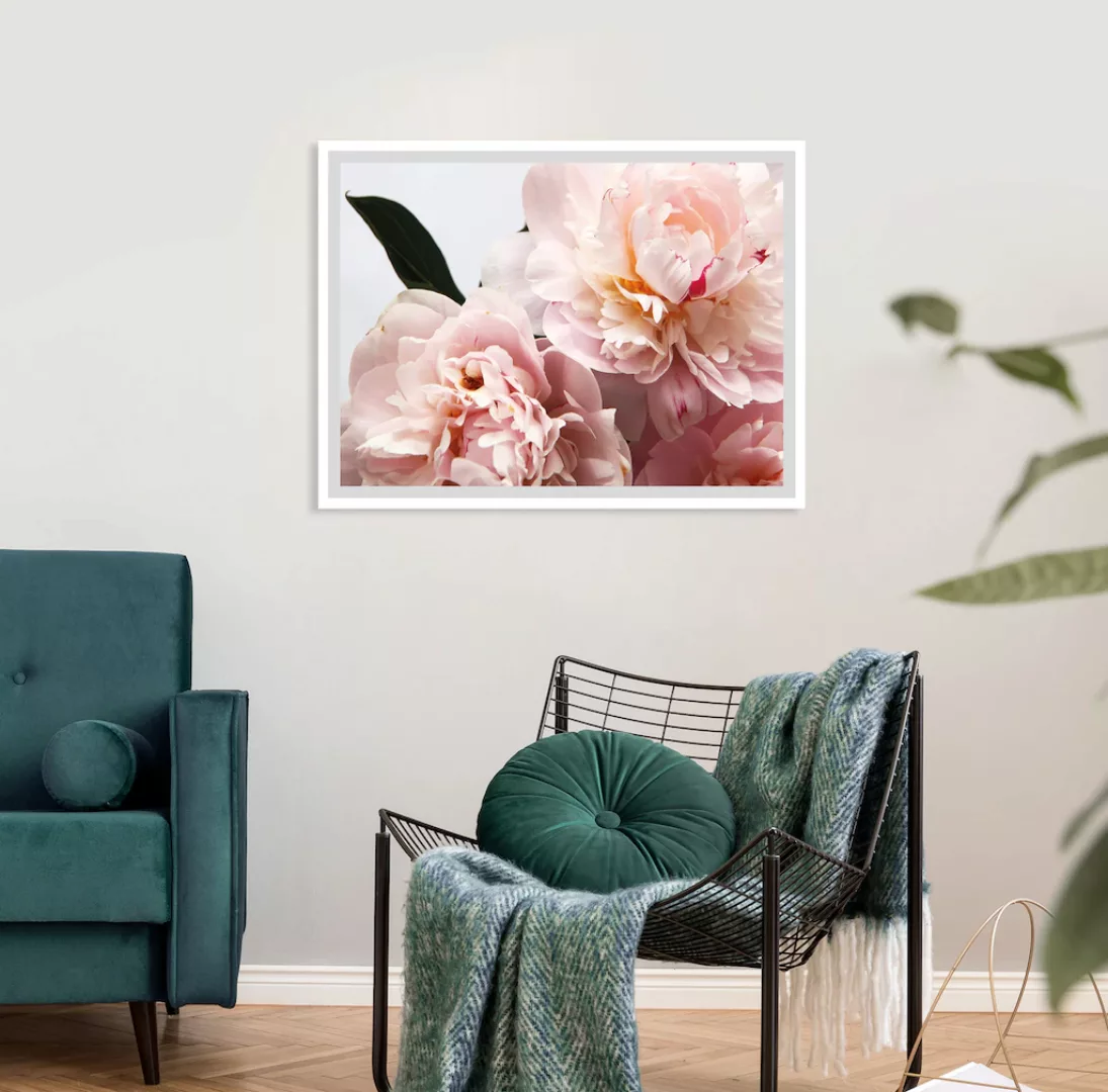 queence Bild "Runa", Blumen, Rosen, gerahmt günstig online kaufen