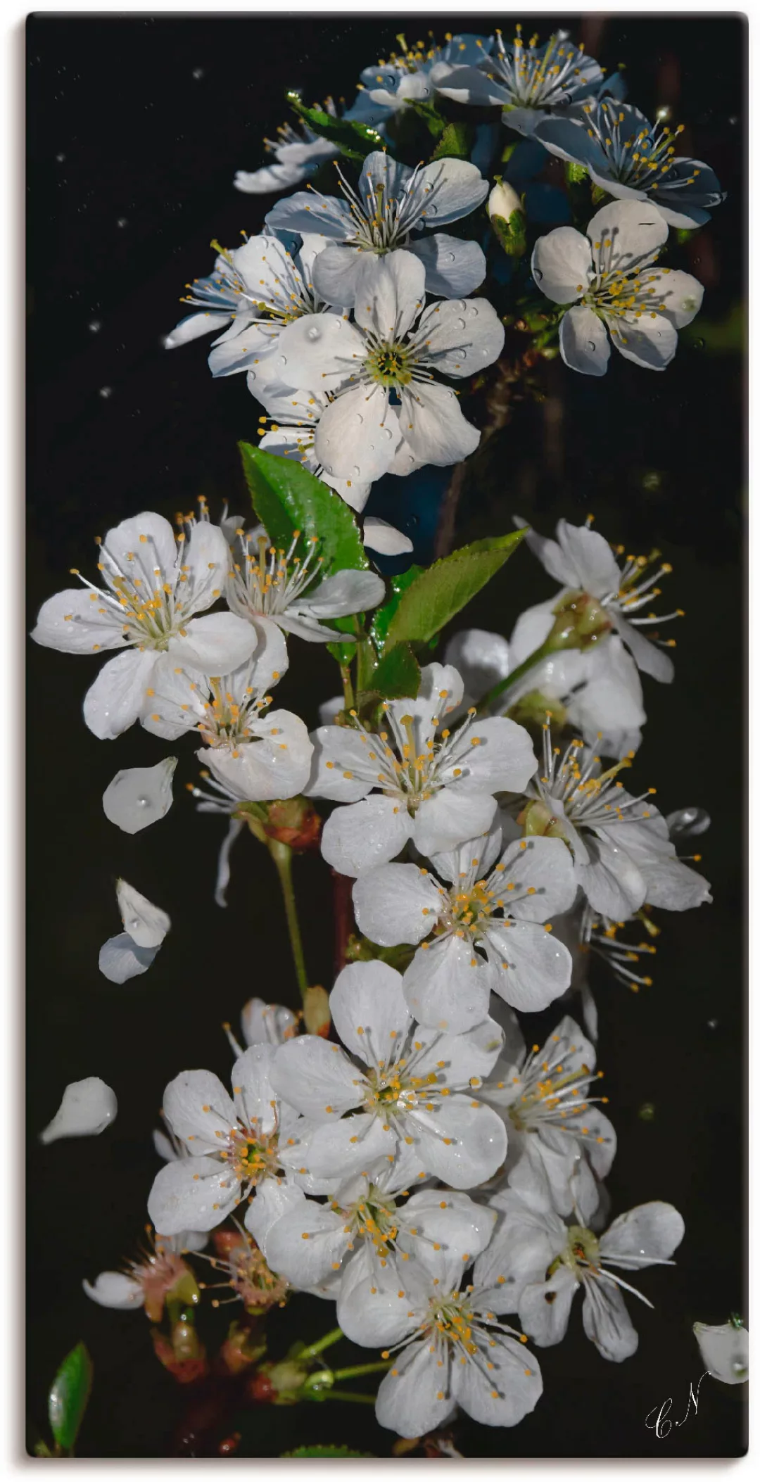 Artland Wandbild "Baumblüte", Blumen, (1 St.), als Leinwandbild, Poster, Wa günstig online kaufen