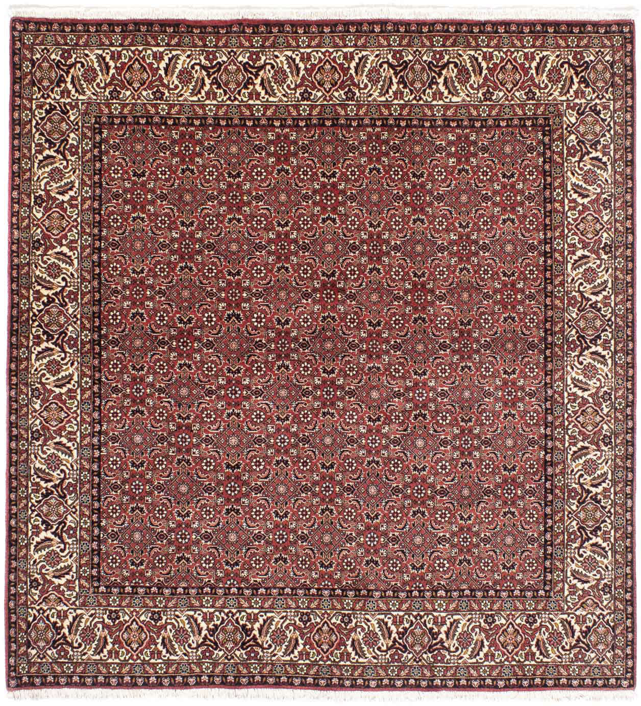 morgenland Orientteppich »Perser - Bidjar quadratisch - 208 x 200 cm - hell günstig online kaufen
