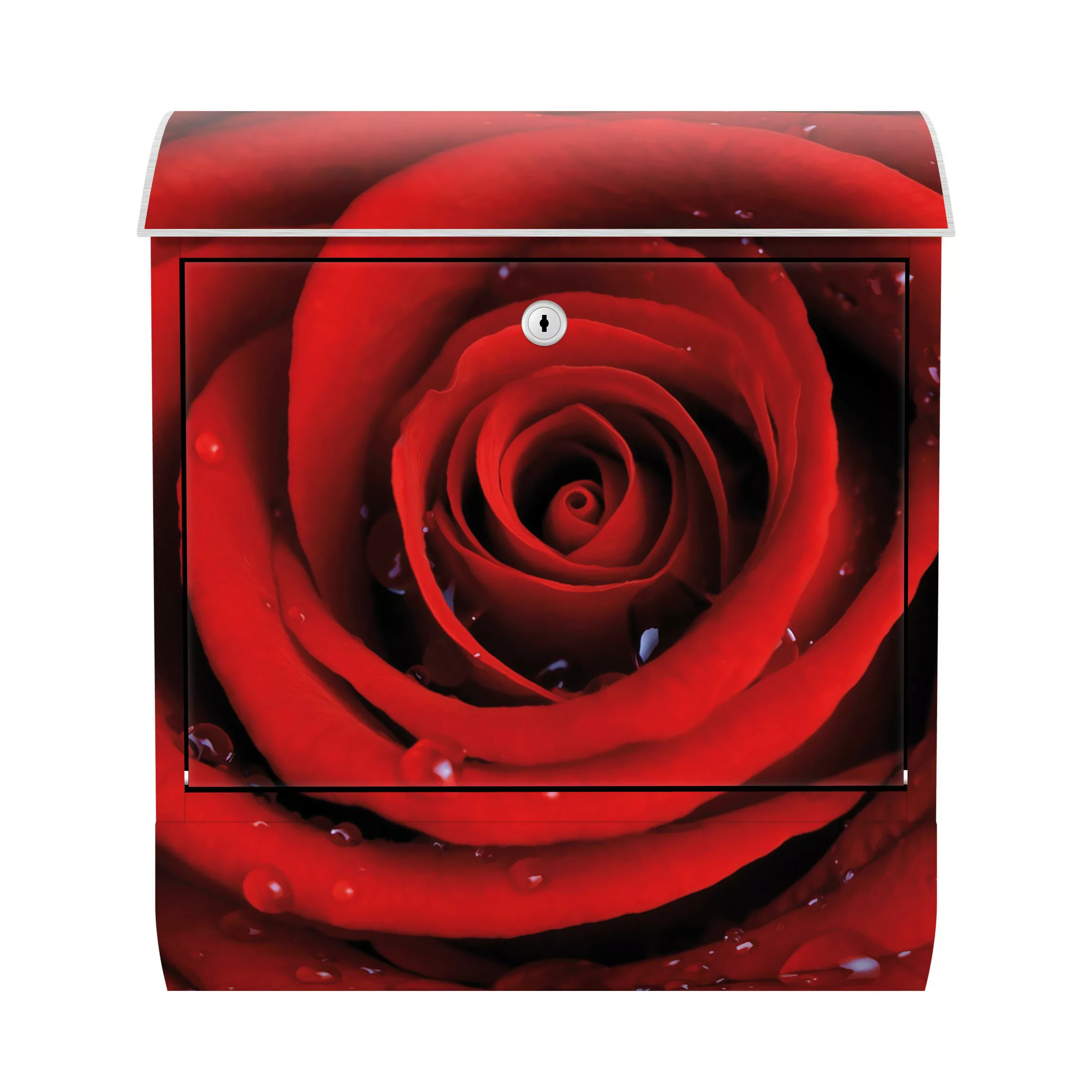 Briefkasten Liebe & Romantik Rote Rose mit Wassertropfen günstig online kaufen