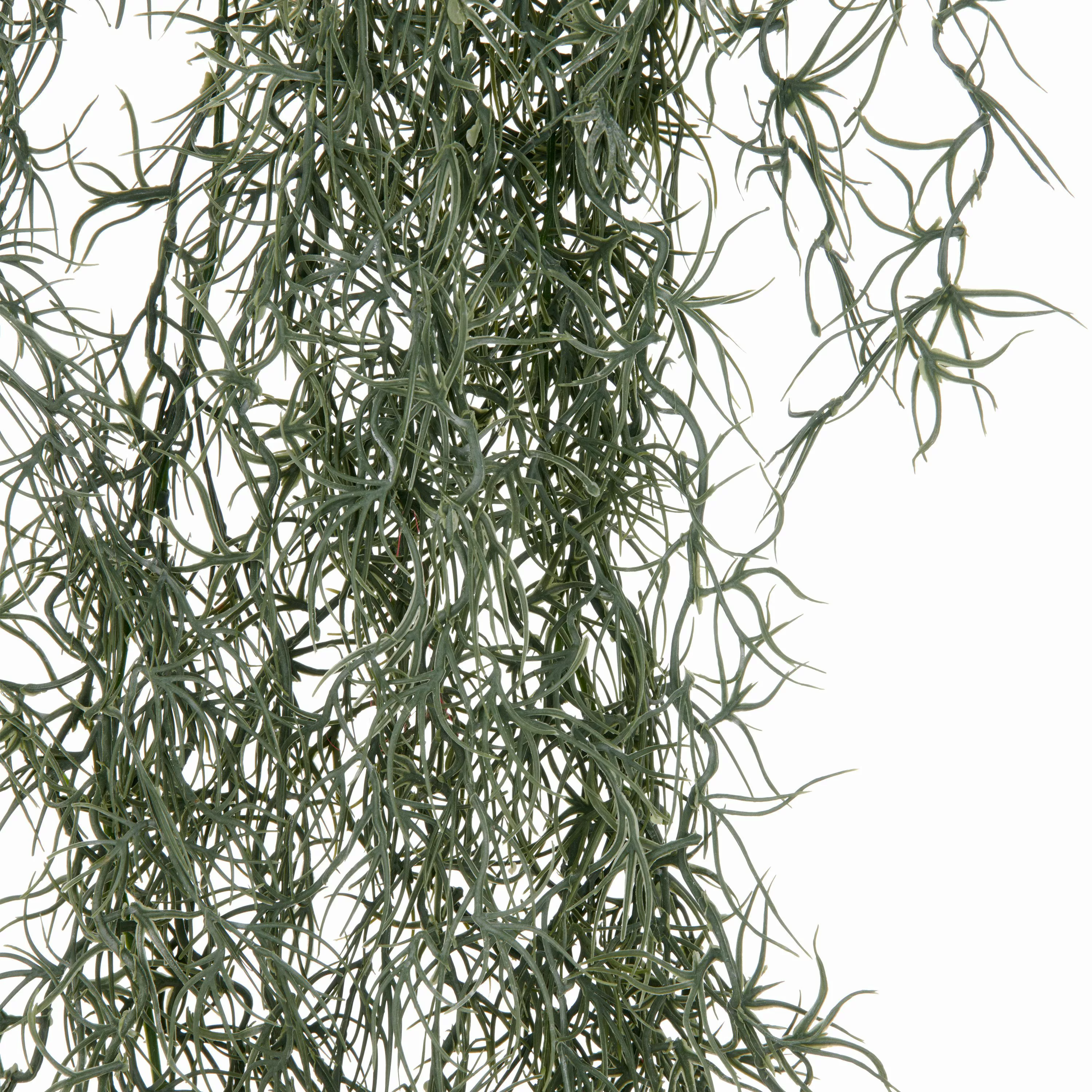 Creativ green Kunstranke "Tillandsia", mit filigranen Ranken günstig online kaufen