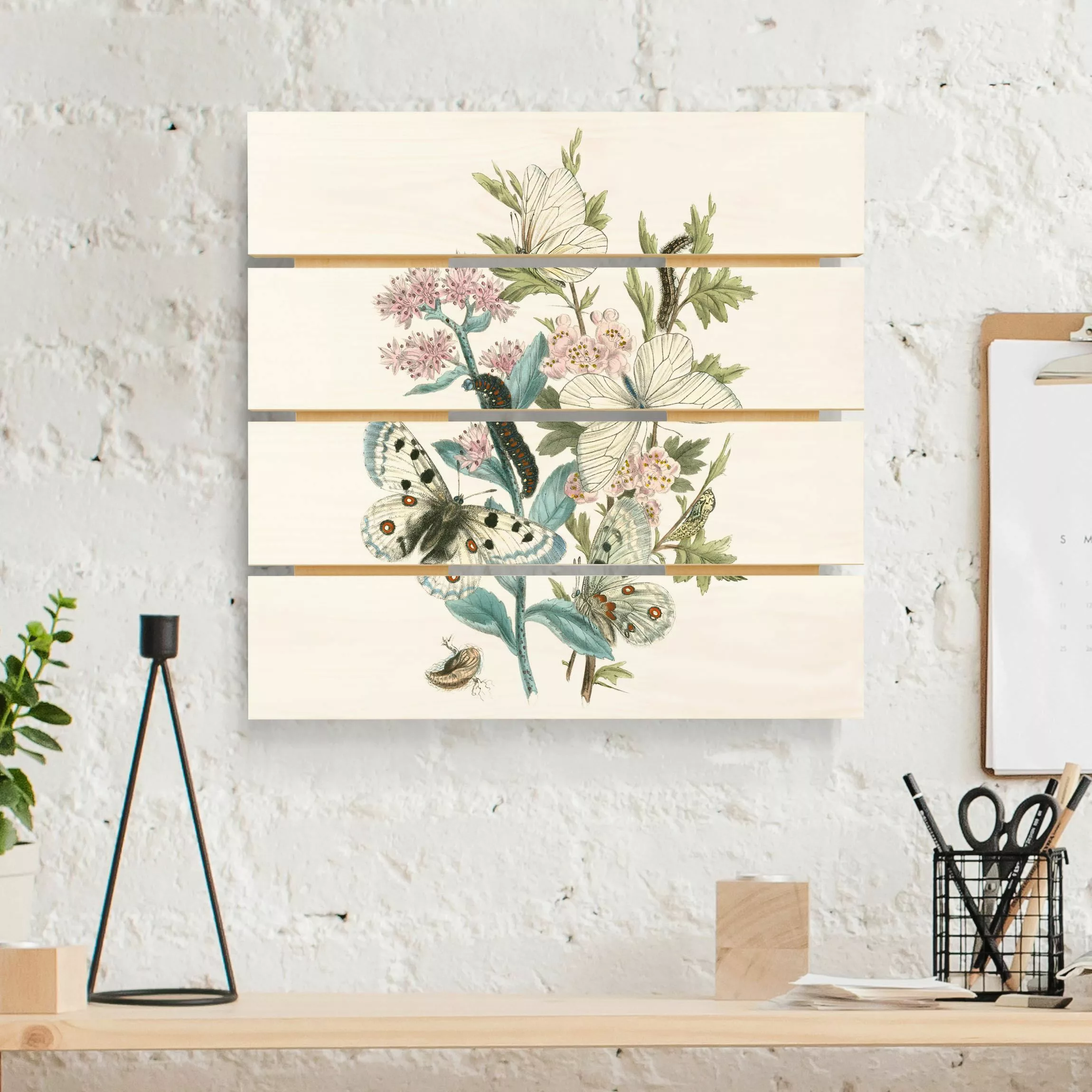 Holzbild Plankenoptik Blumen - Quadrat Britische Schmetterlinge I günstig online kaufen