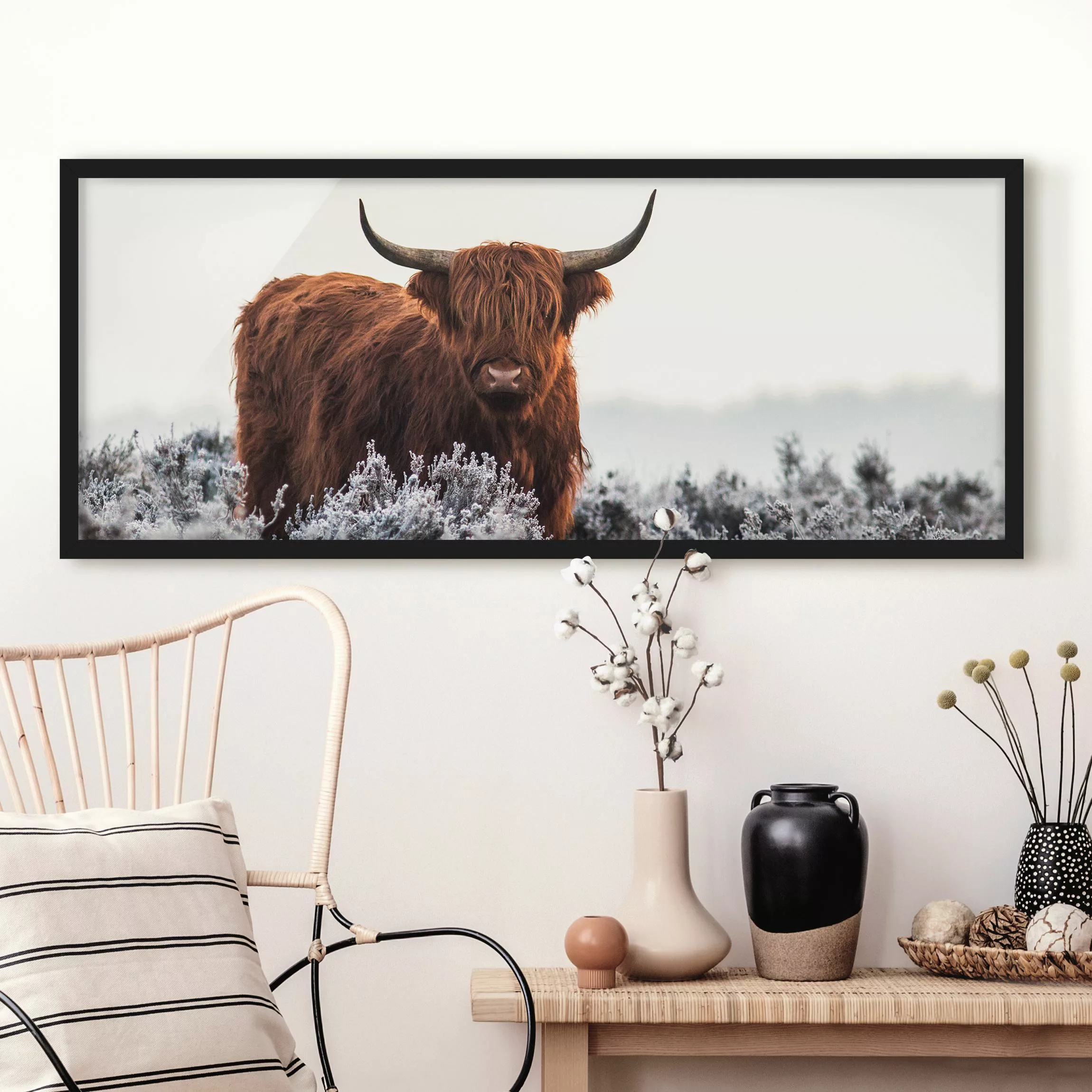 Bild mit Rahmen Tiere - Panorama Bison in den Highlands günstig online kaufen