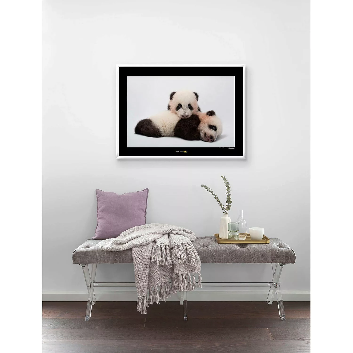 KOMAR Wandbild - Giant Panda - Größe: 70 x 50 cm mehrfarbig Gr. one size günstig online kaufen