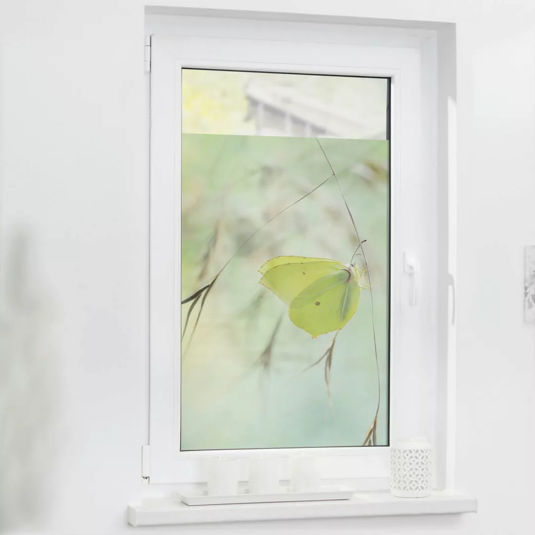 LICHTBLICK Fensterfolie Schmetterling grün B/L: ca. 100x130 cm günstig online kaufen